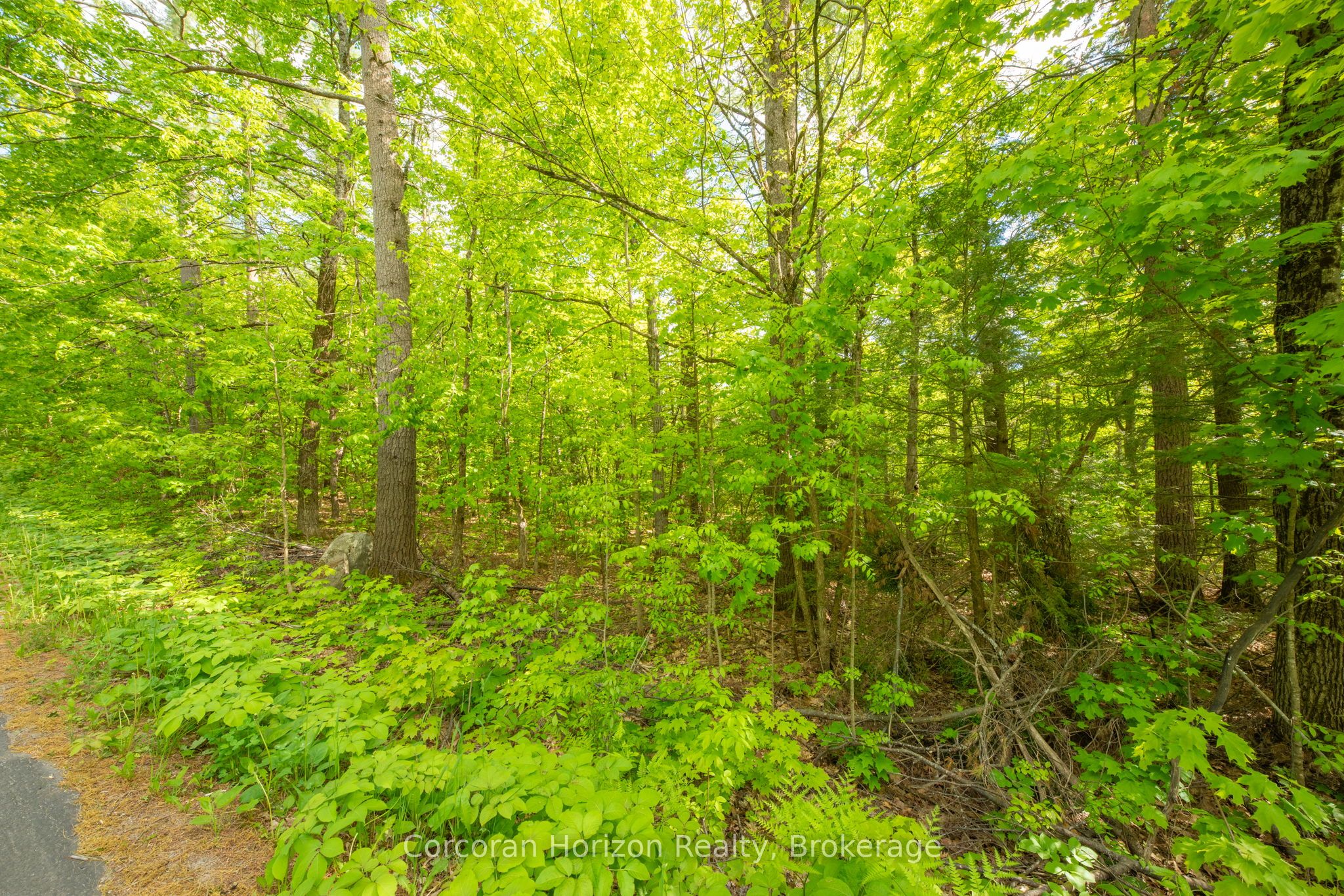 1020 Ridge Road Property Photo 16