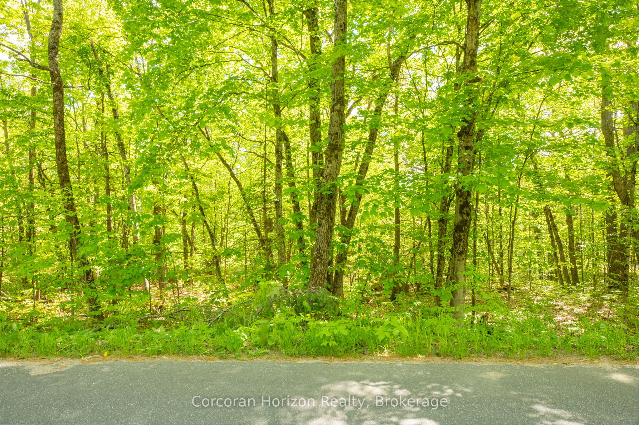 1020 Ridge Road Property Photo 17