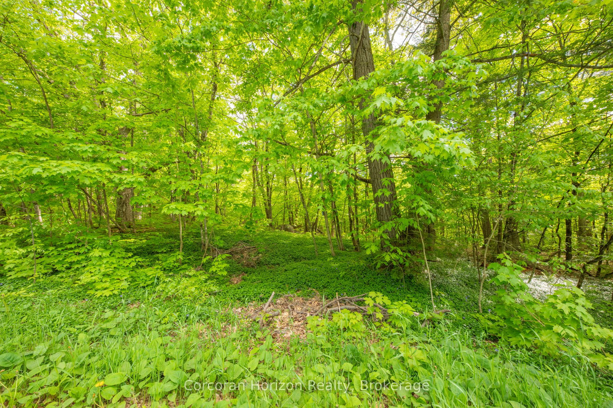 1020 Ridge Road Property Photo 18
