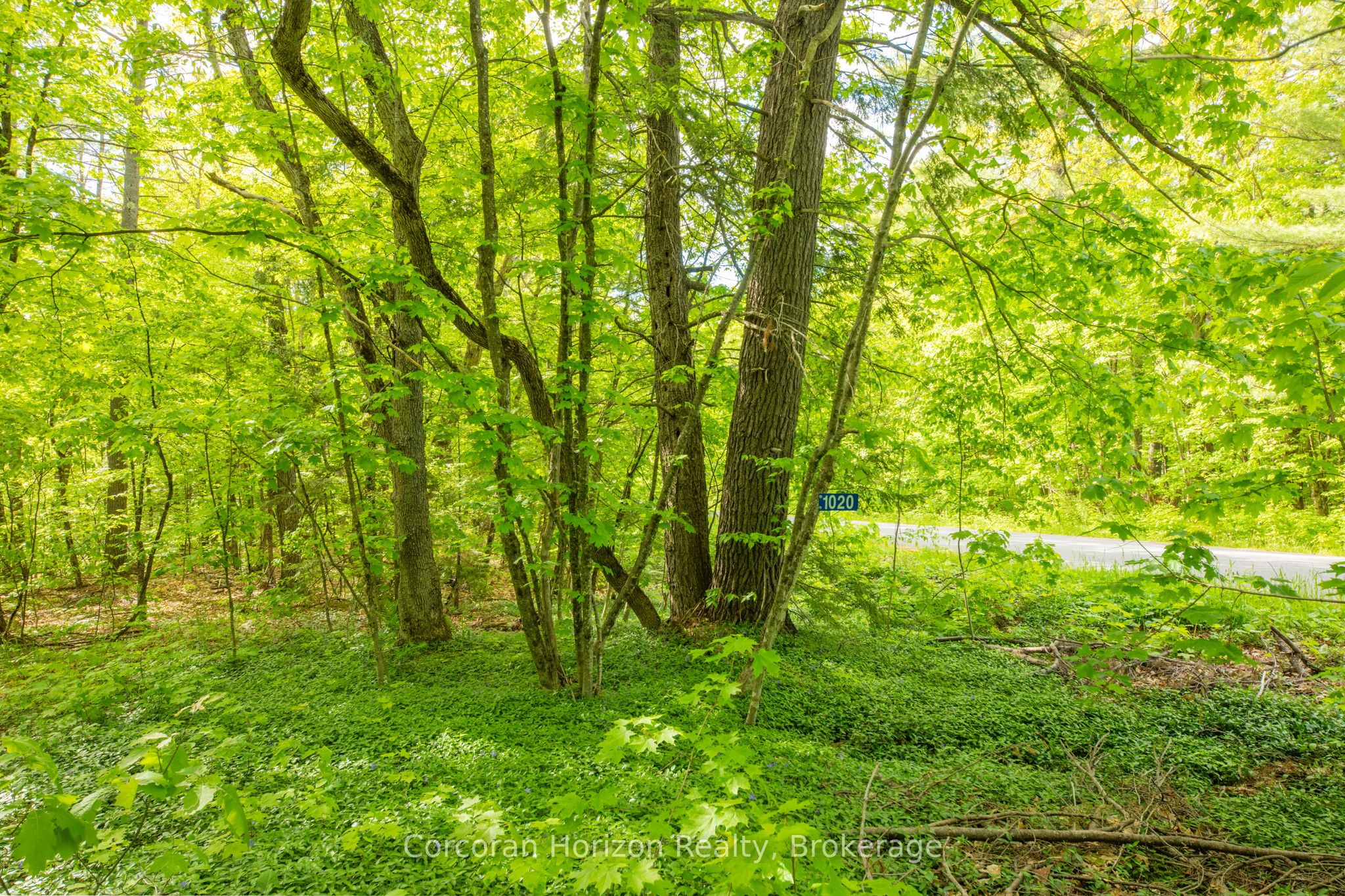 1020 Ridge Road Property Photo 19