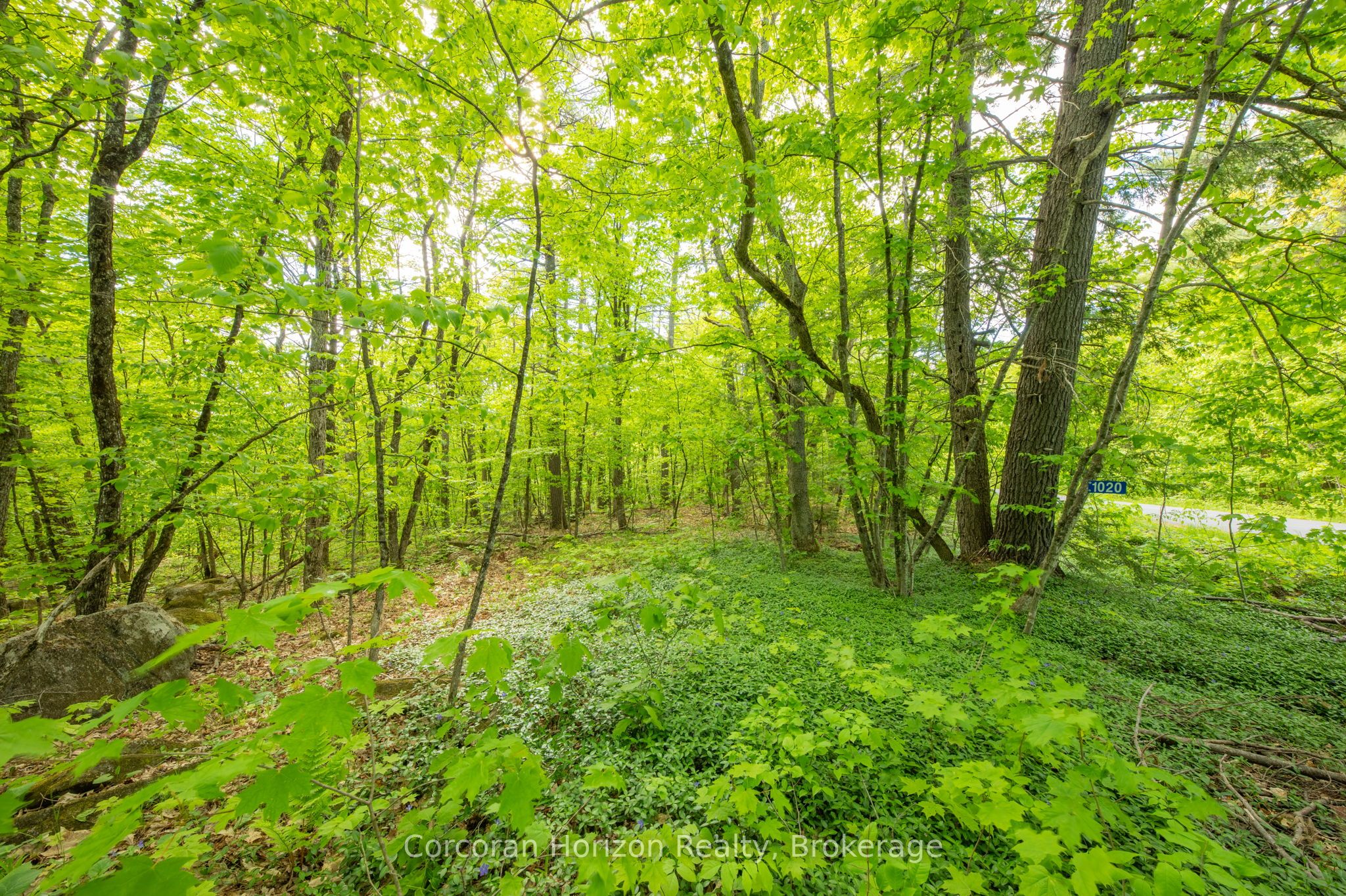 1020 Ridge Road Property Photo 20