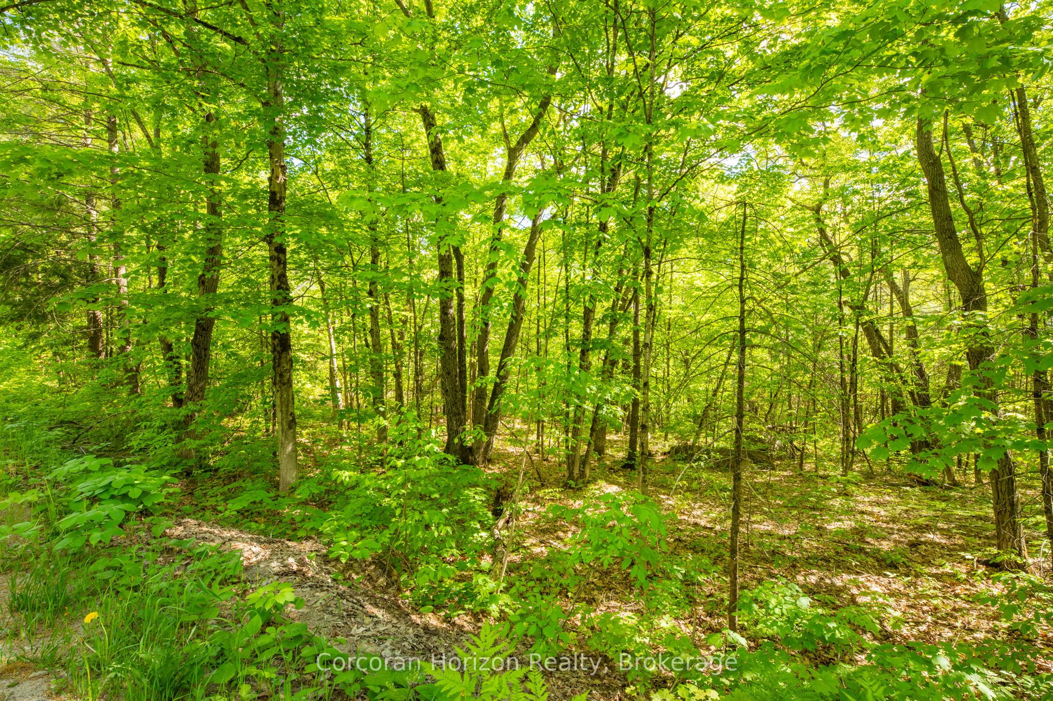 1020 Ridge Road Property Photo 23