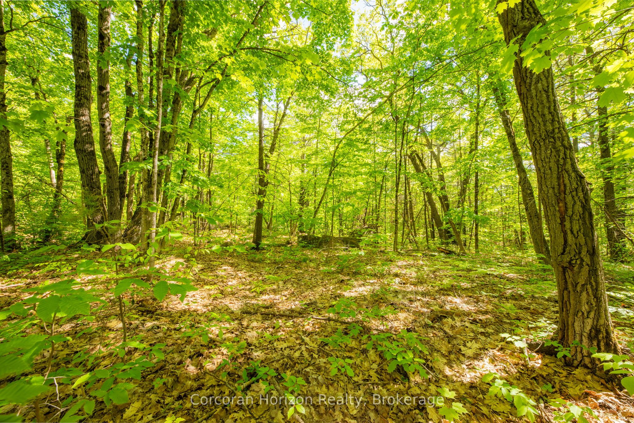 1020 Ridge Road Property Photo 24
