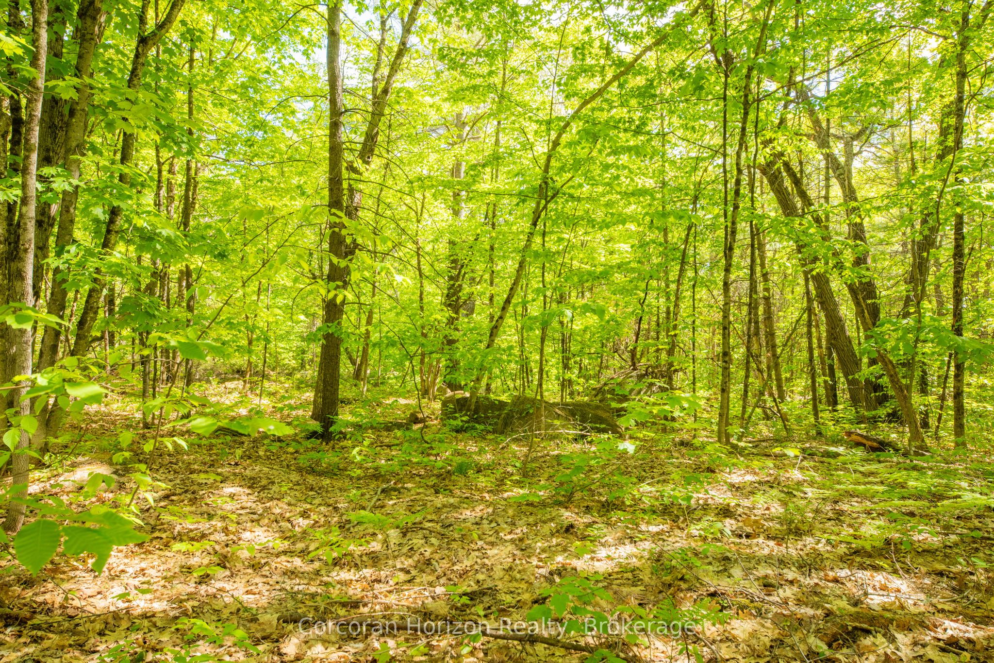 1020 Ridge Road Property Photo 25