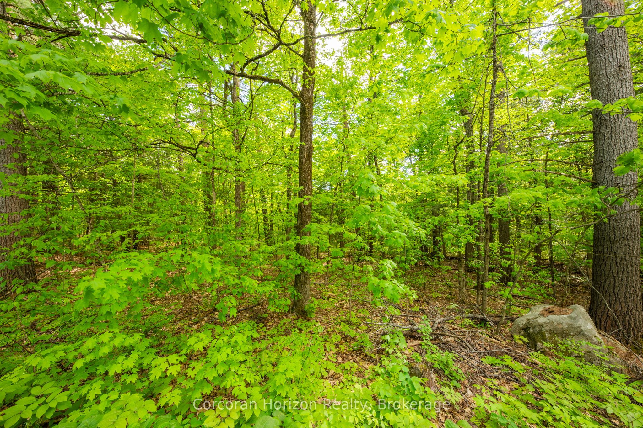 1020 Ridge Road Property Photo 26