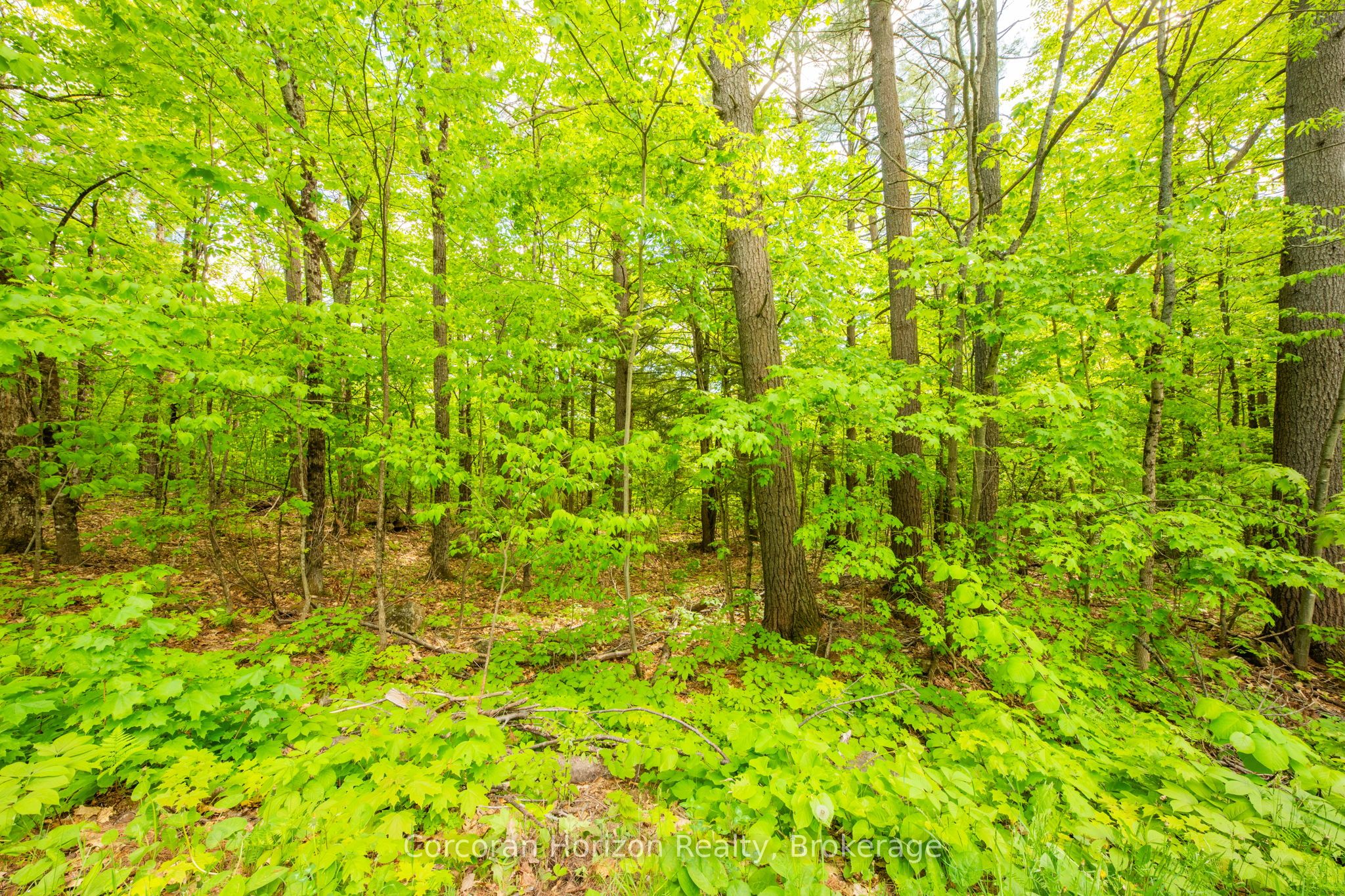 1020 Ridge Road Property Photo 27