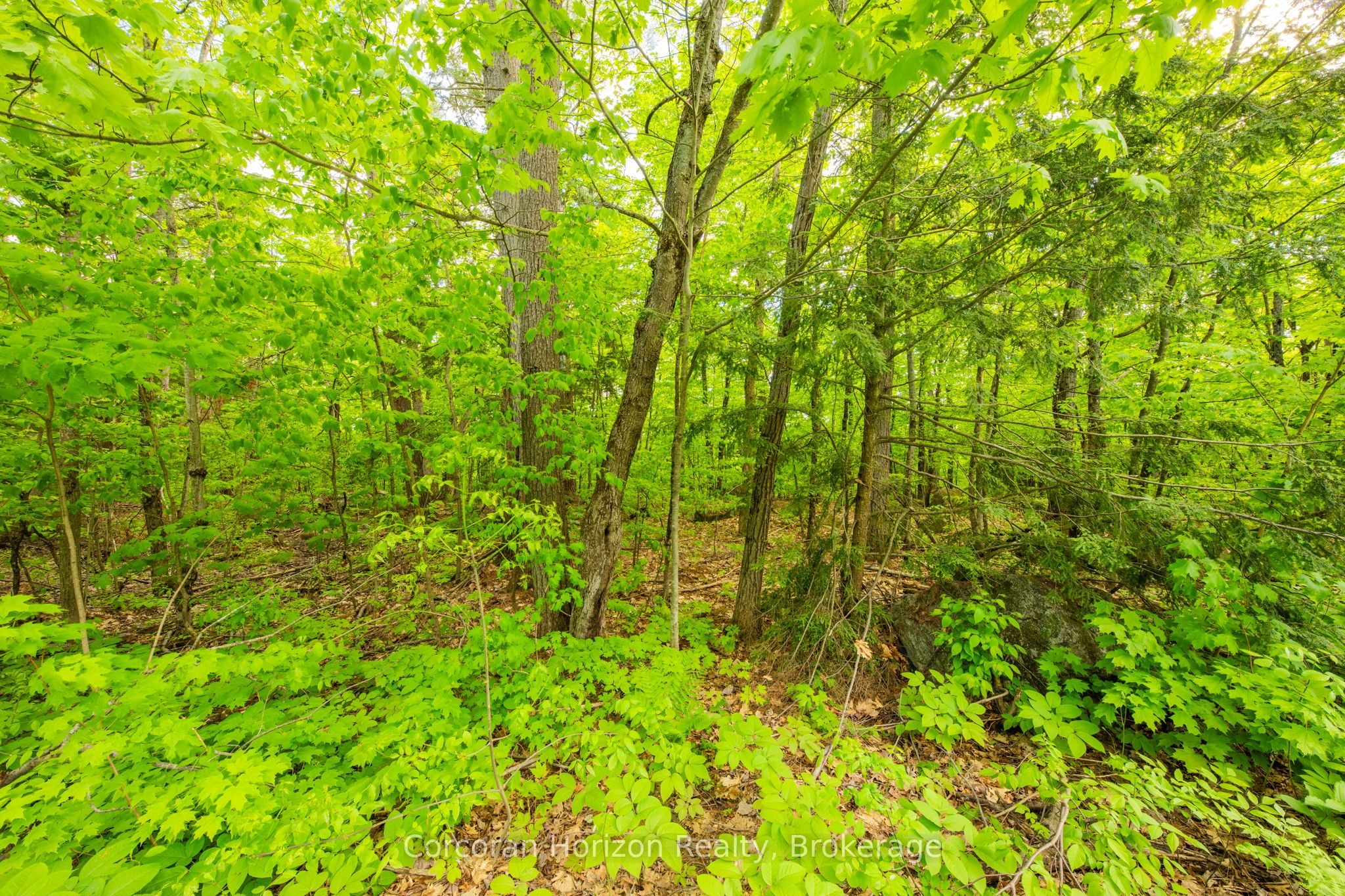 1020 Ridge Road Property Photo 28