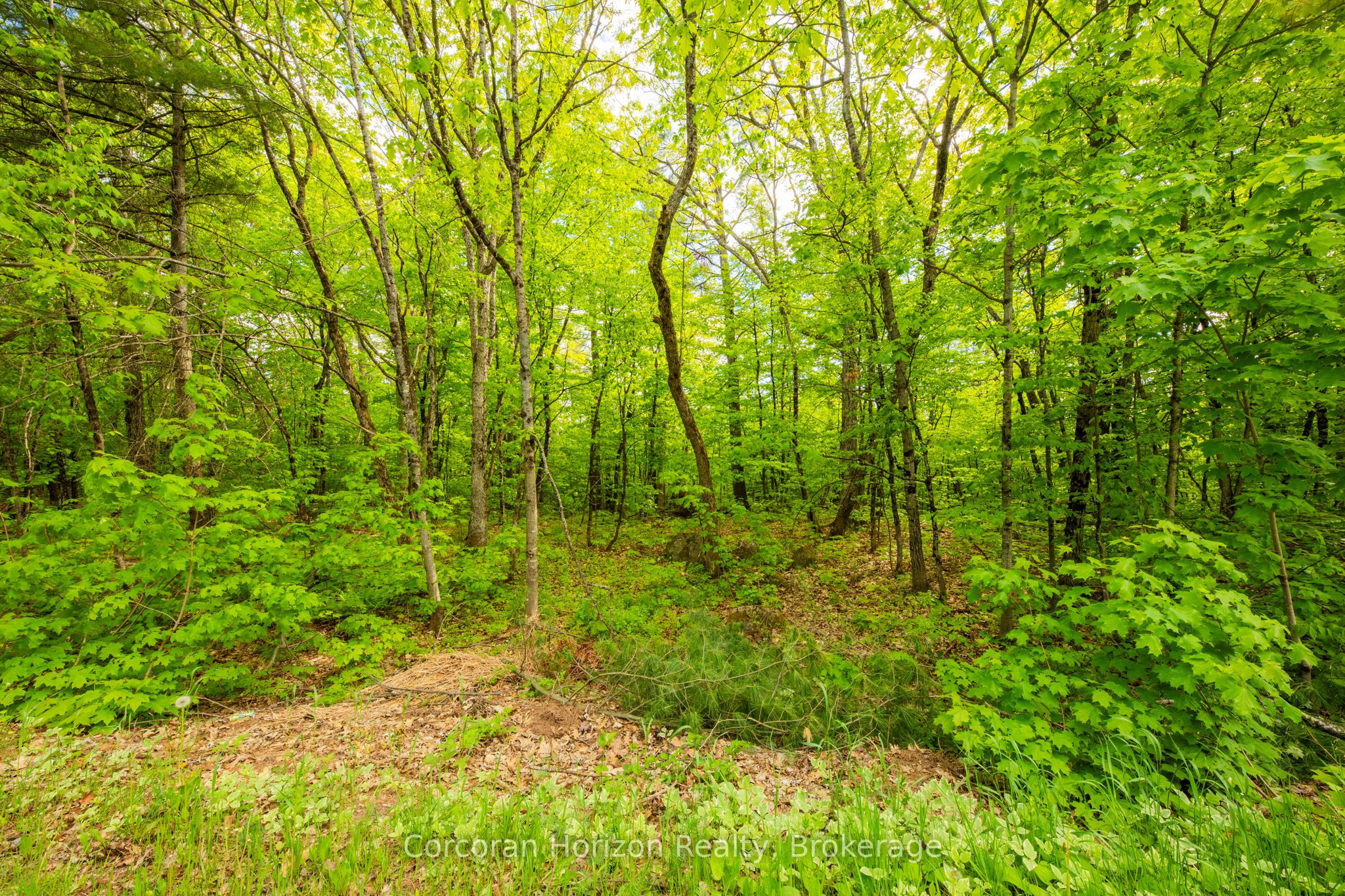 1020 Ridge Road Property Photo 29