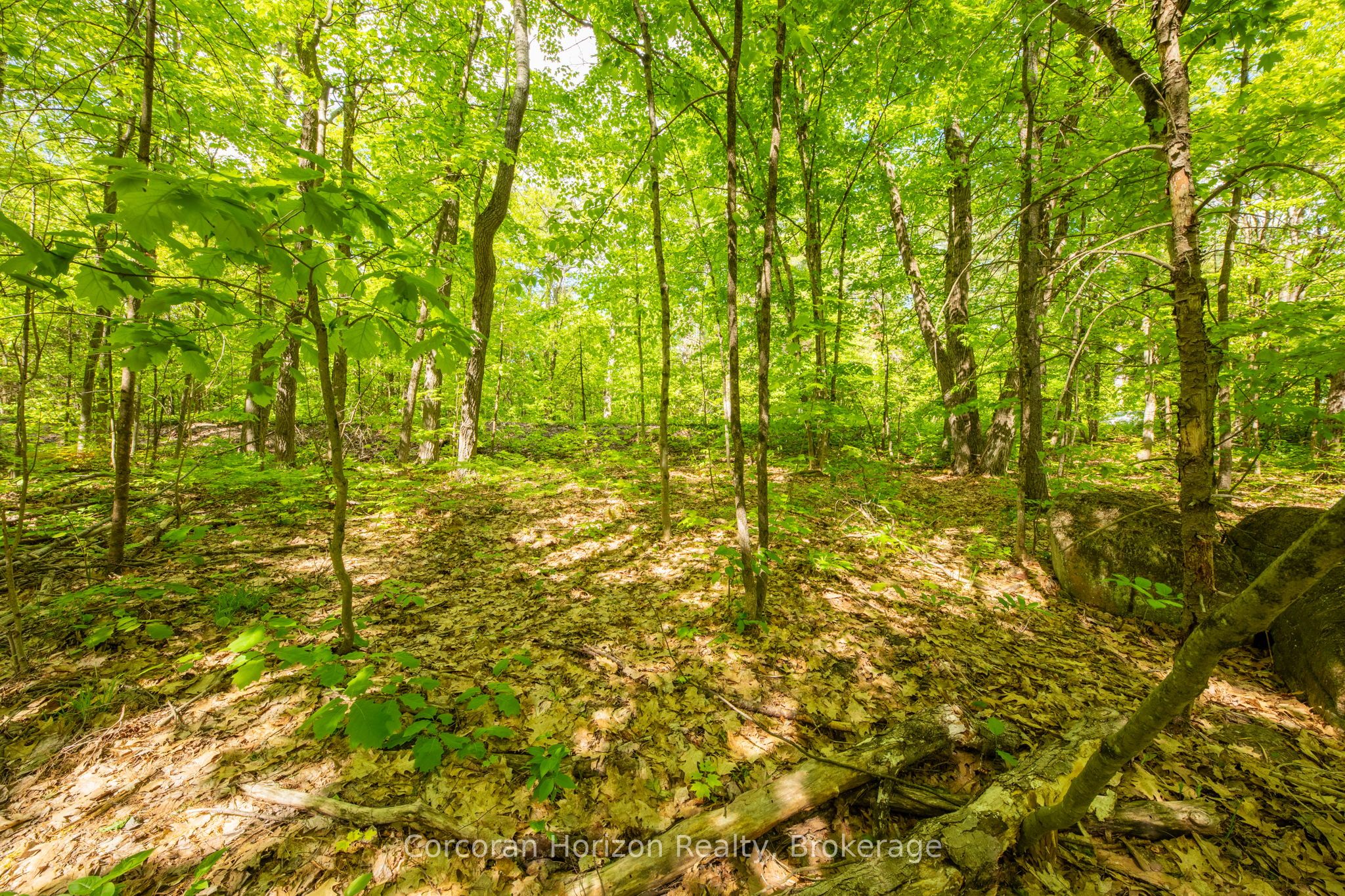 1020 Ridge Road Property Photo 31