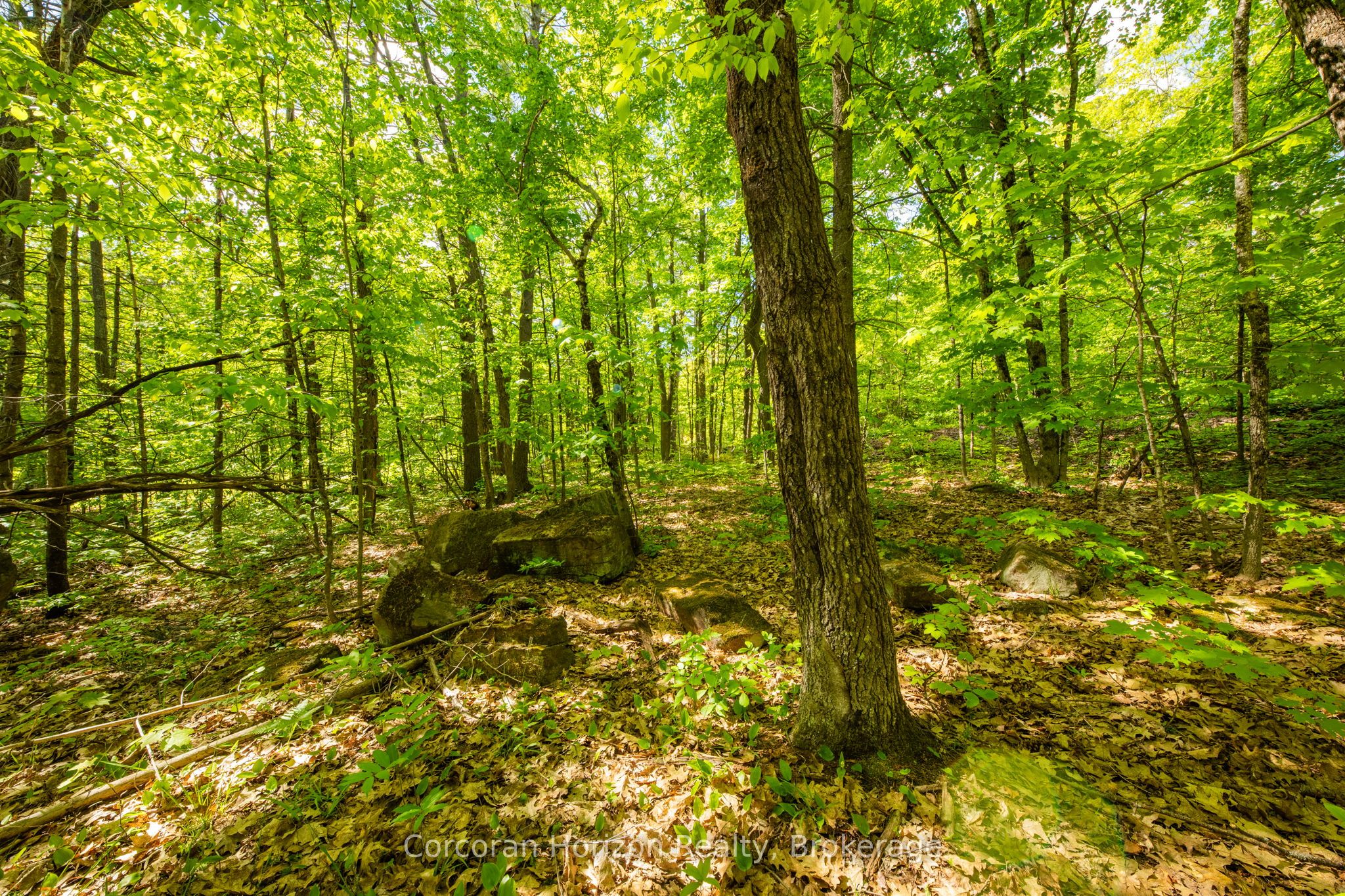 1020 Ridge Road Property Photo 32