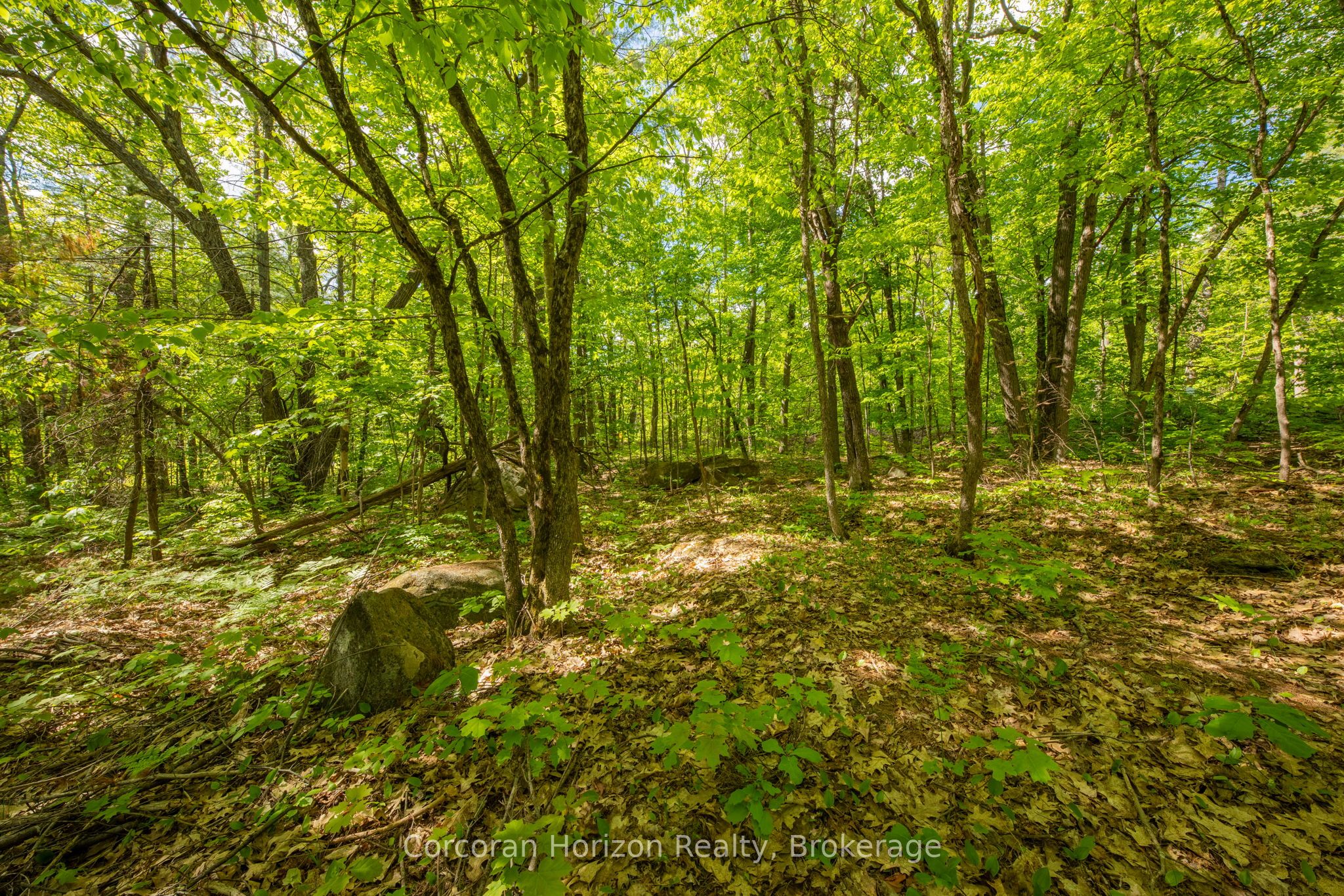 1020 Ridge Road Property Photo 33