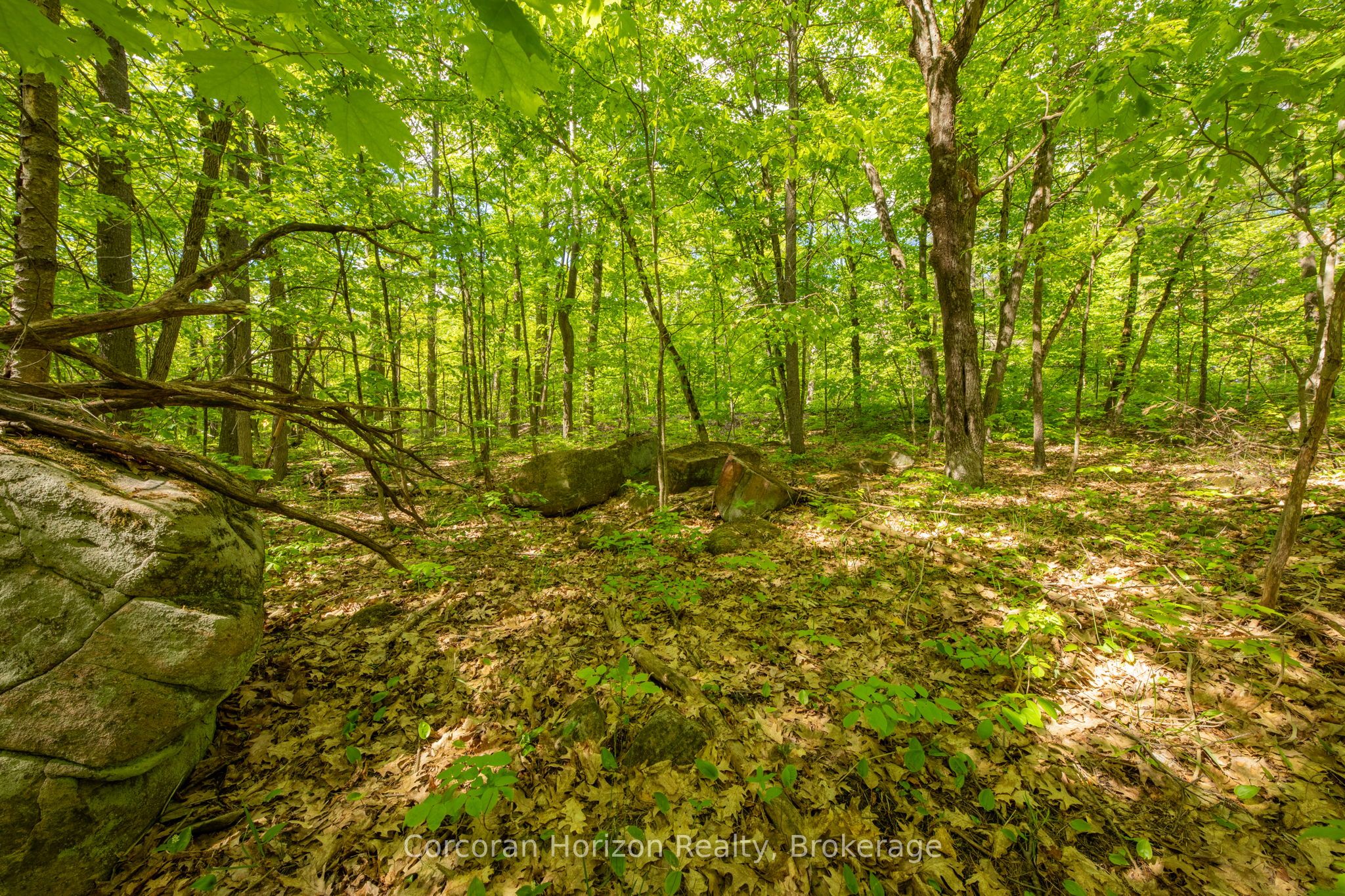 1020 Ridge Road Property Photo 34