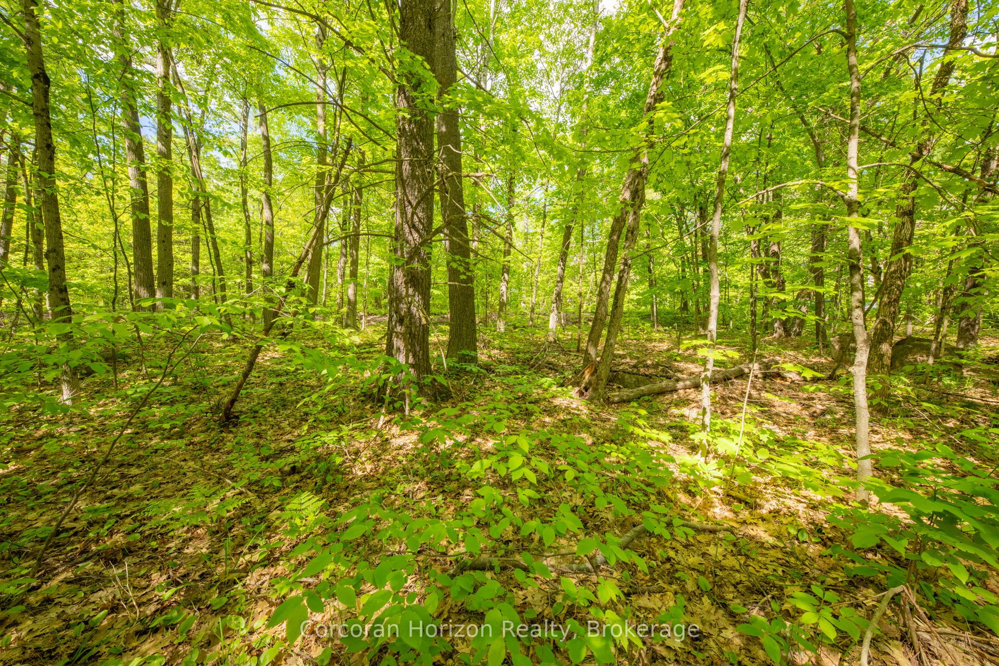 1020 Ridge Road Property Photo 35