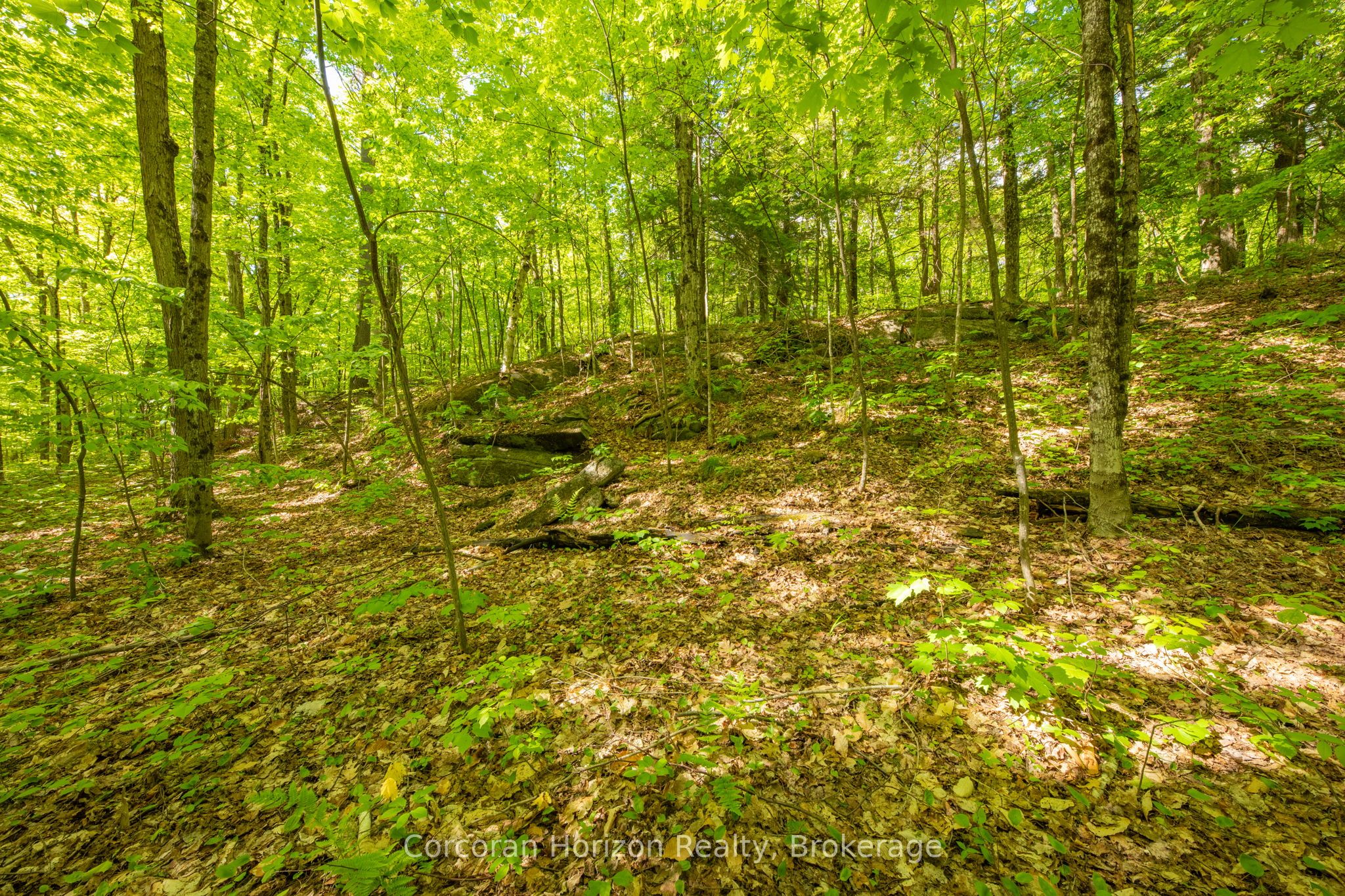 1020 Ridge Road Property Photo 37