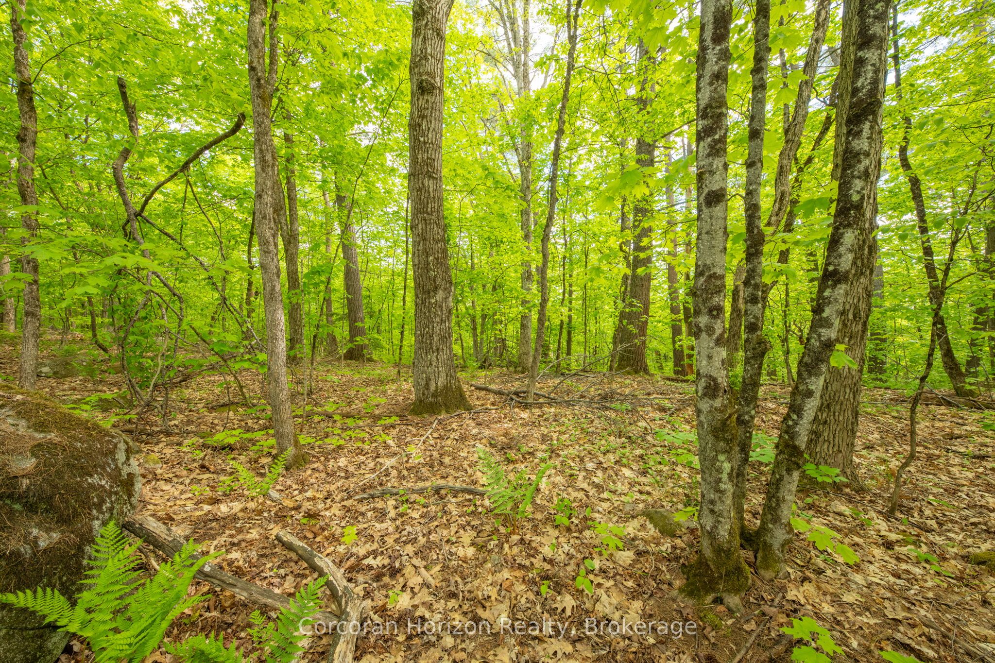 1020 Ridge Road Property Photo 39