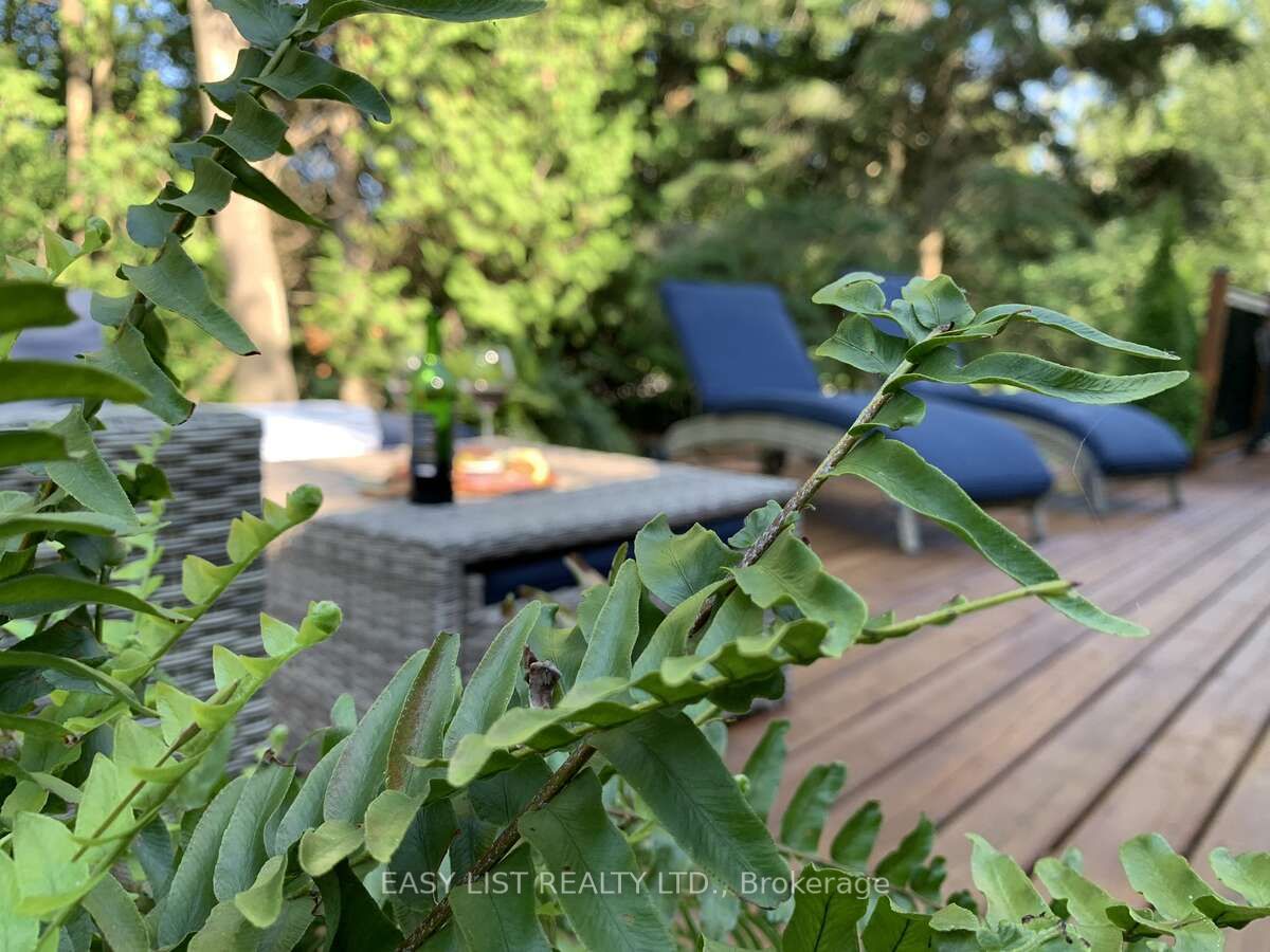 858 Howdenvale Road Property Photo 21