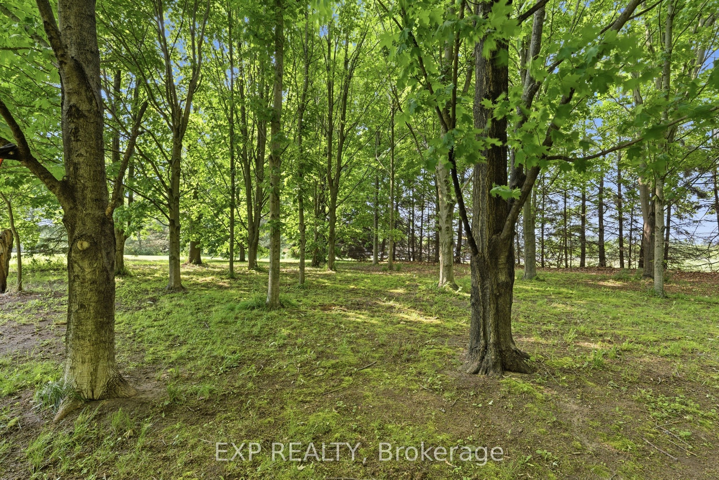 1602 Third Street Property Photo 32