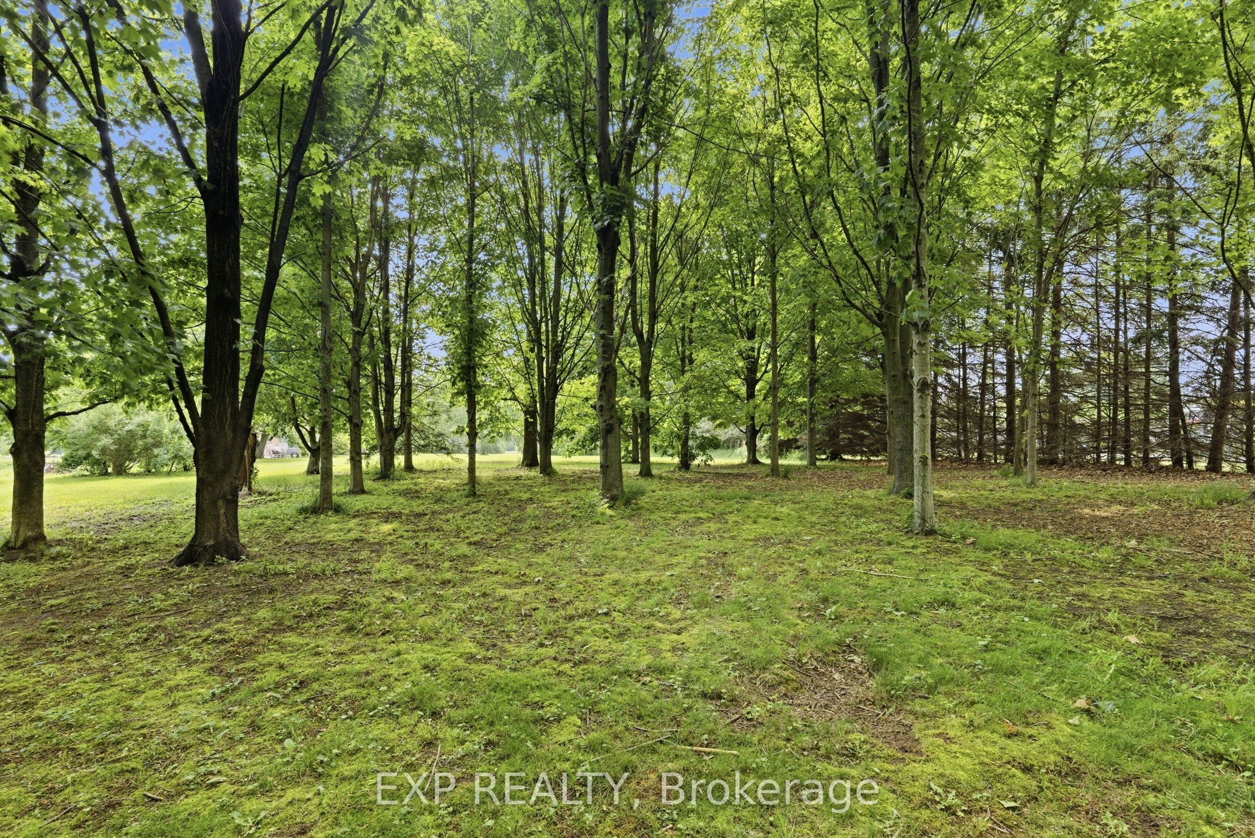 1602 Third Street Property Photo 34