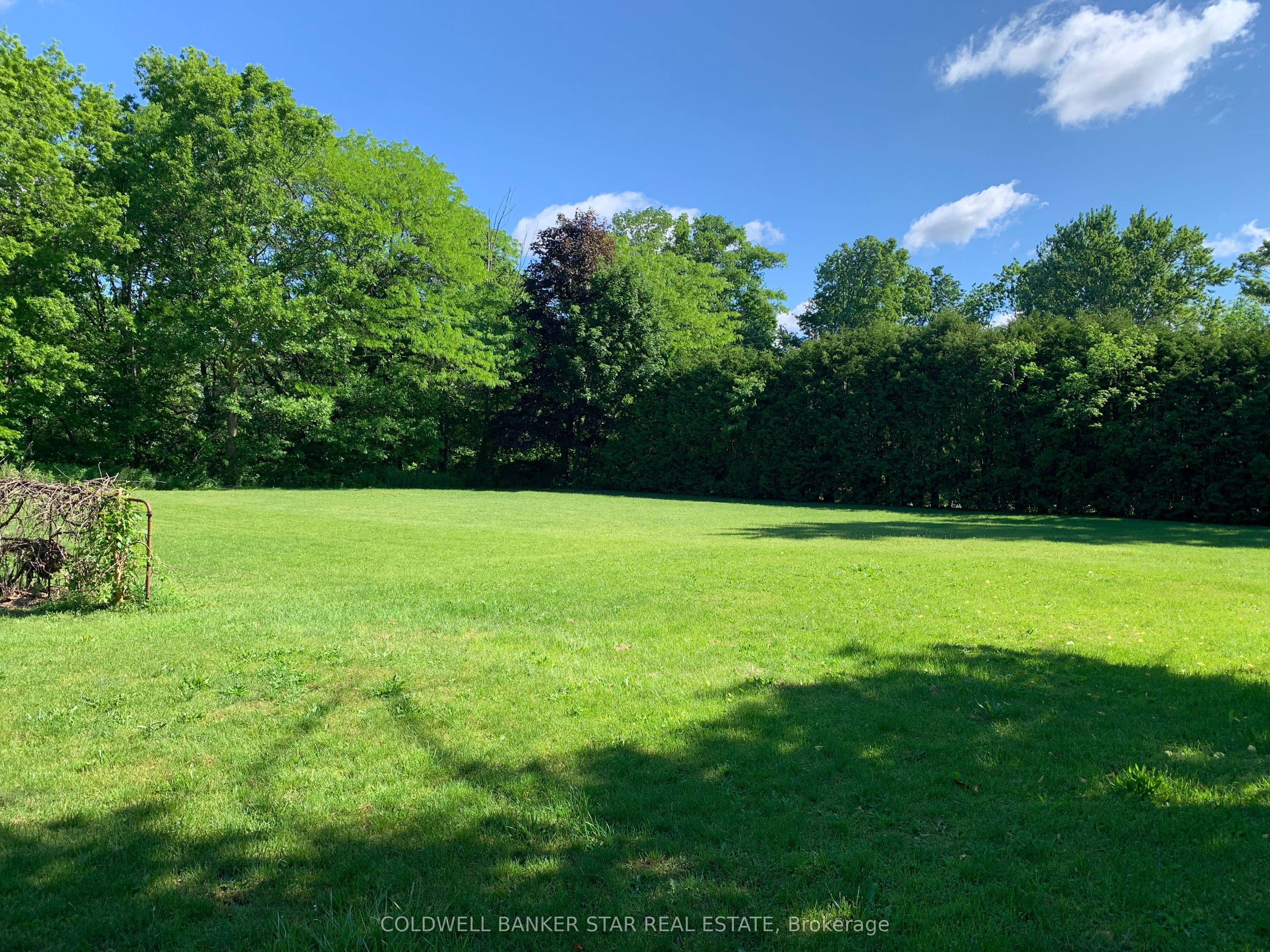 36352 Second Line Property Photo 25