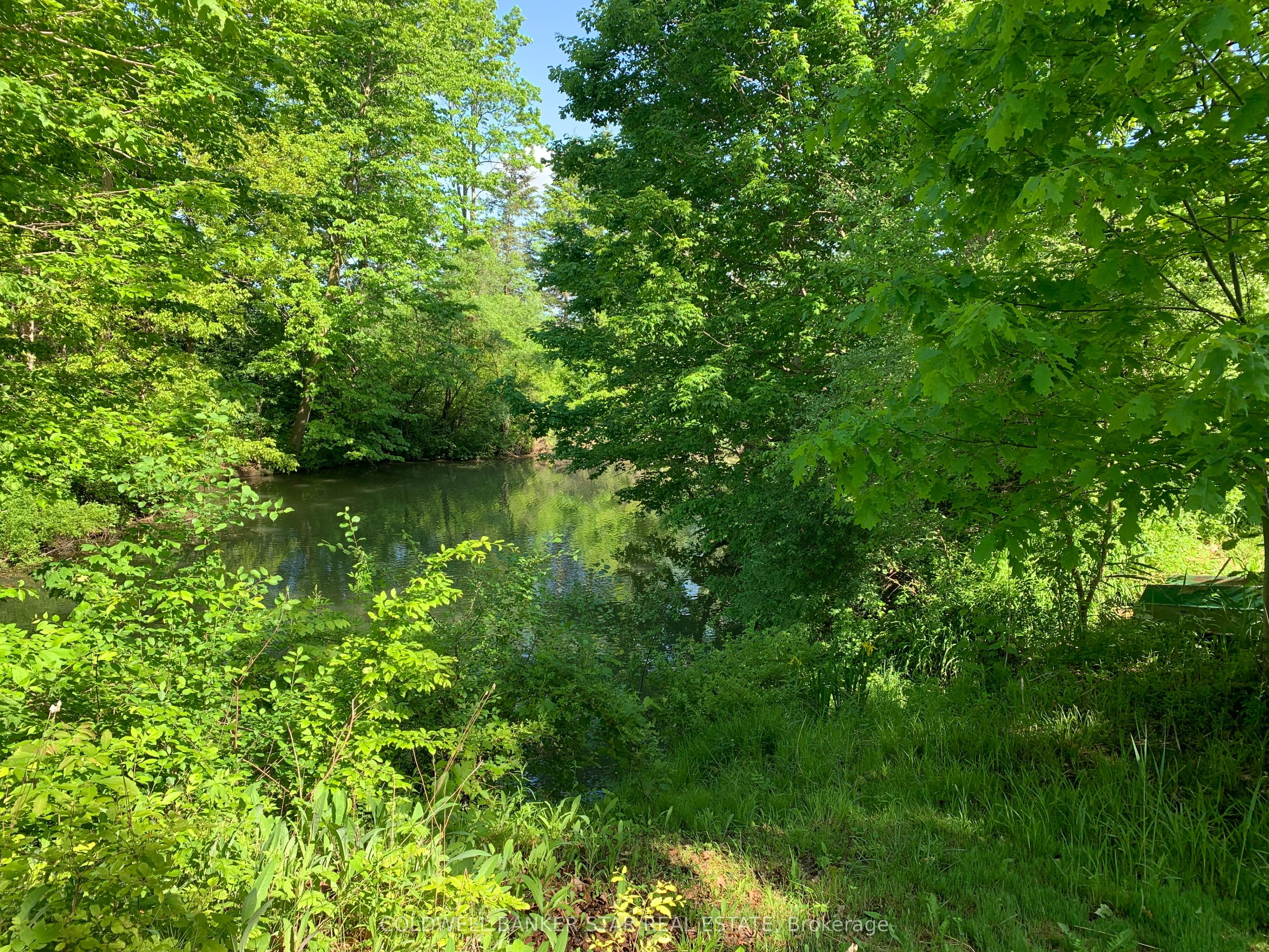 36352 Second Line Property Photo 27
