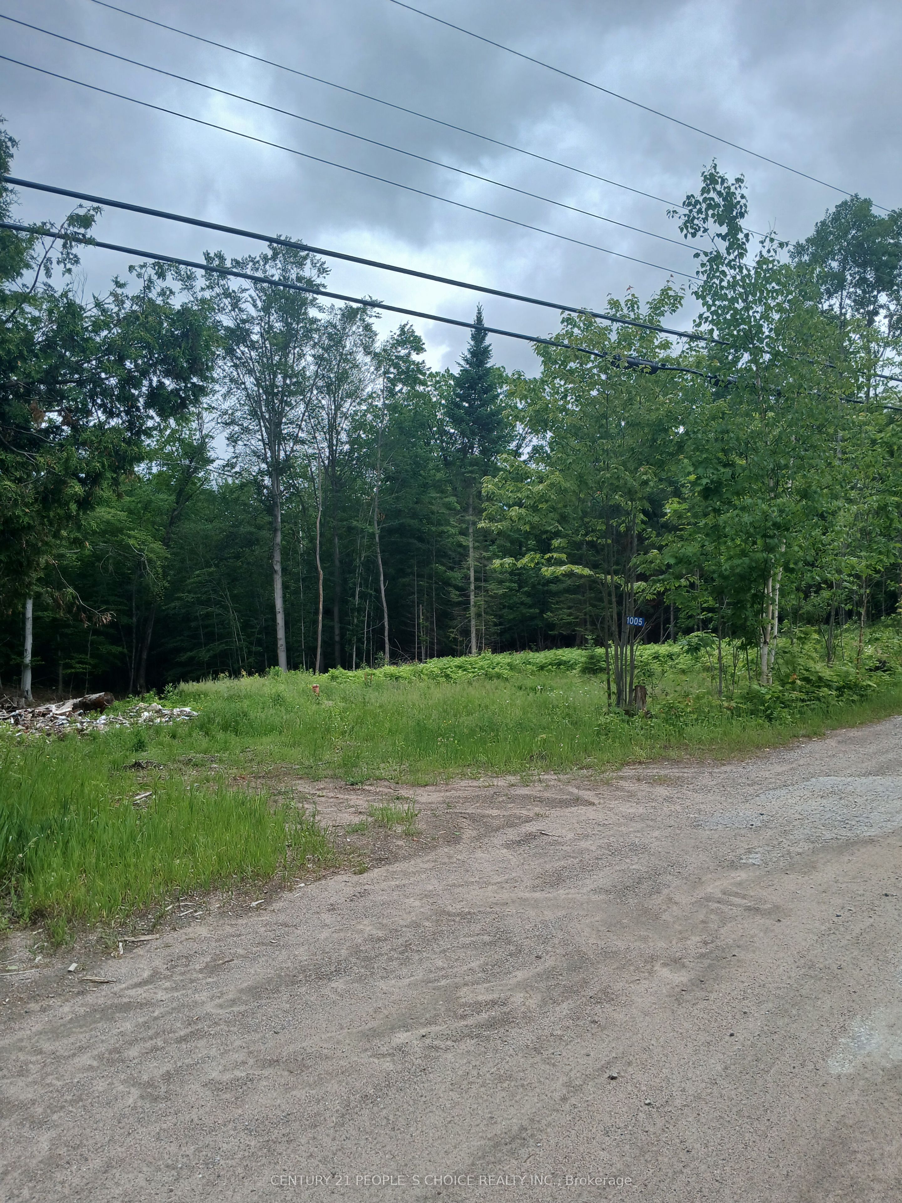 1005 Porkys Road Property Photo 3