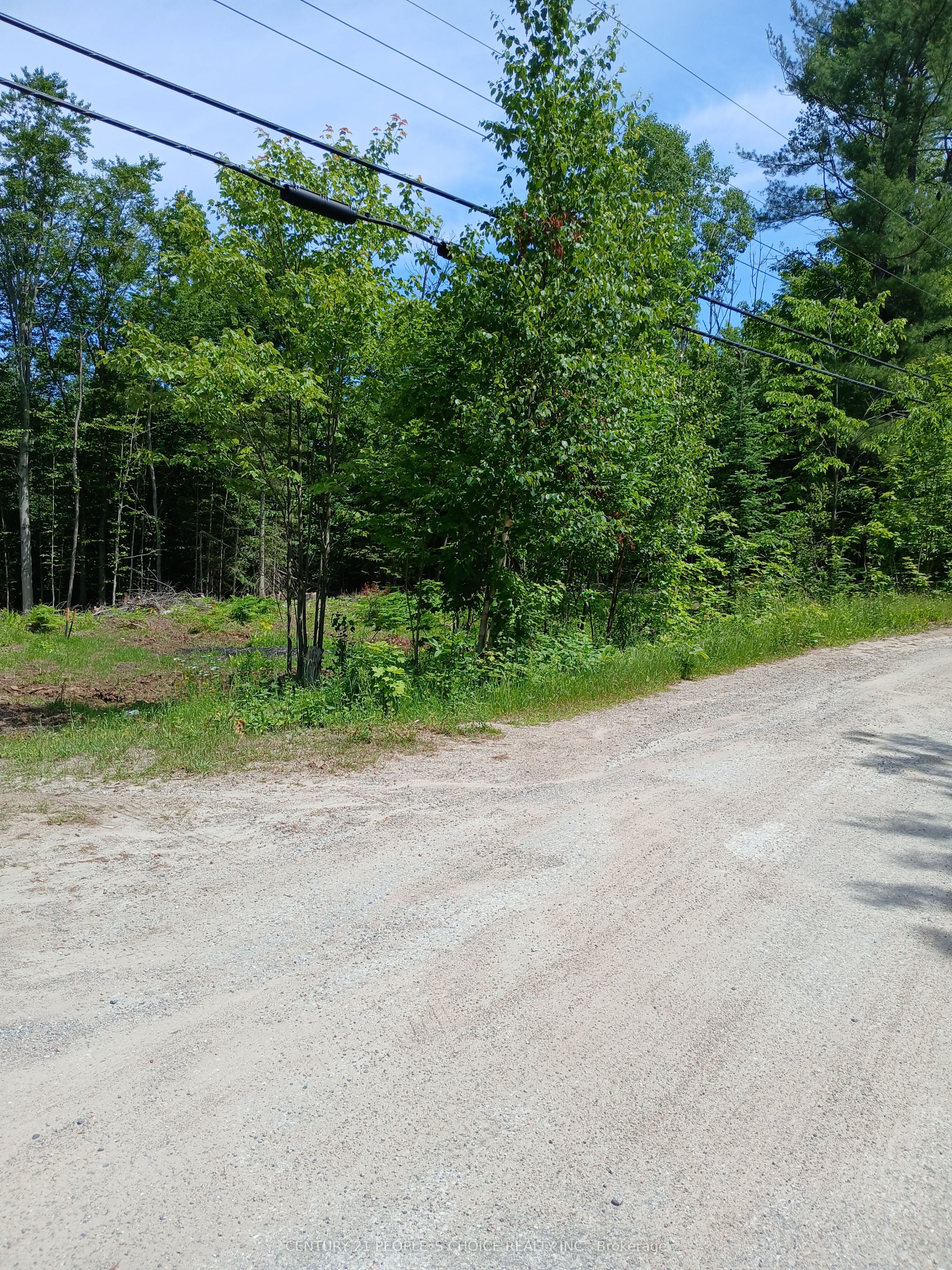 1005 Porkys Road Property Photo 4