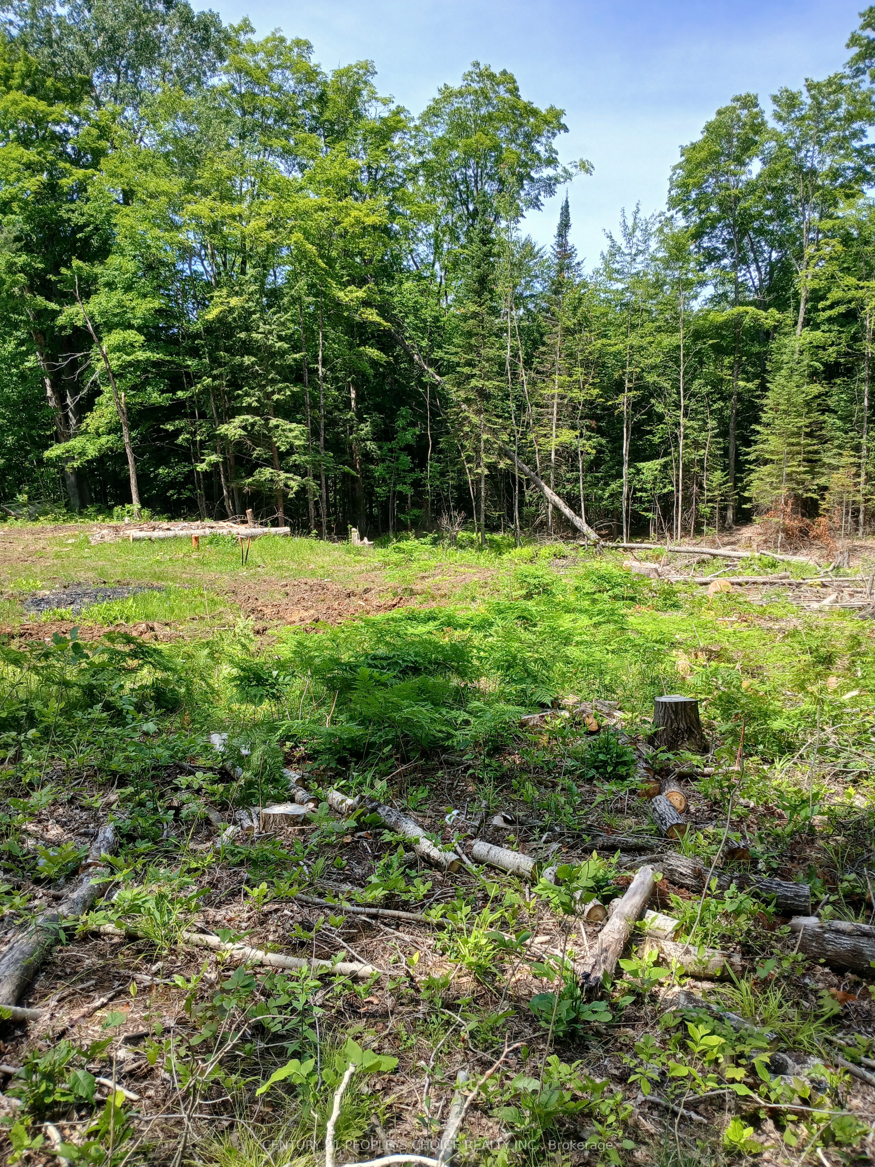 1005 Porkys Road Property Photo 6