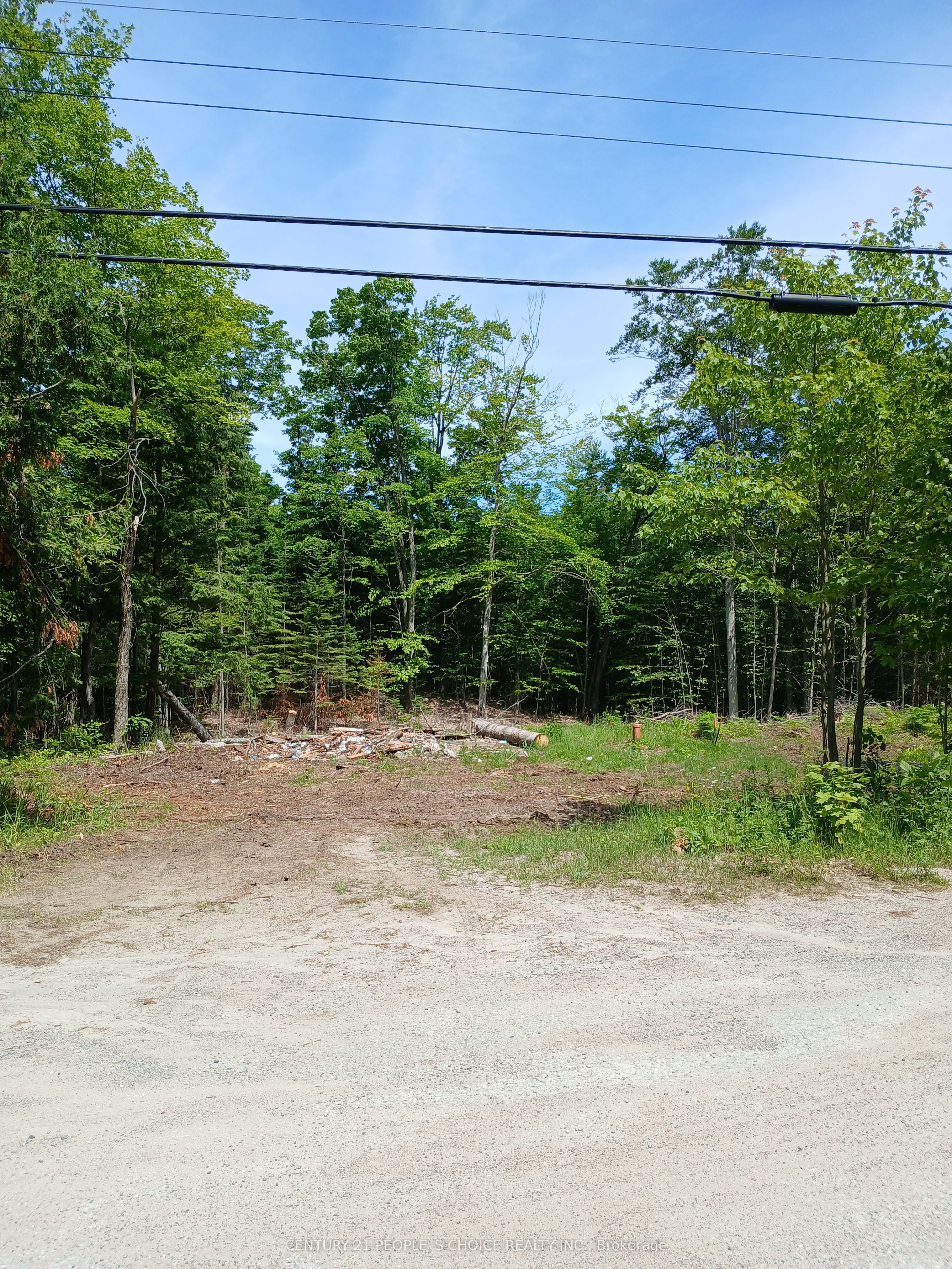 1005 Porkys Road Property Photo 8