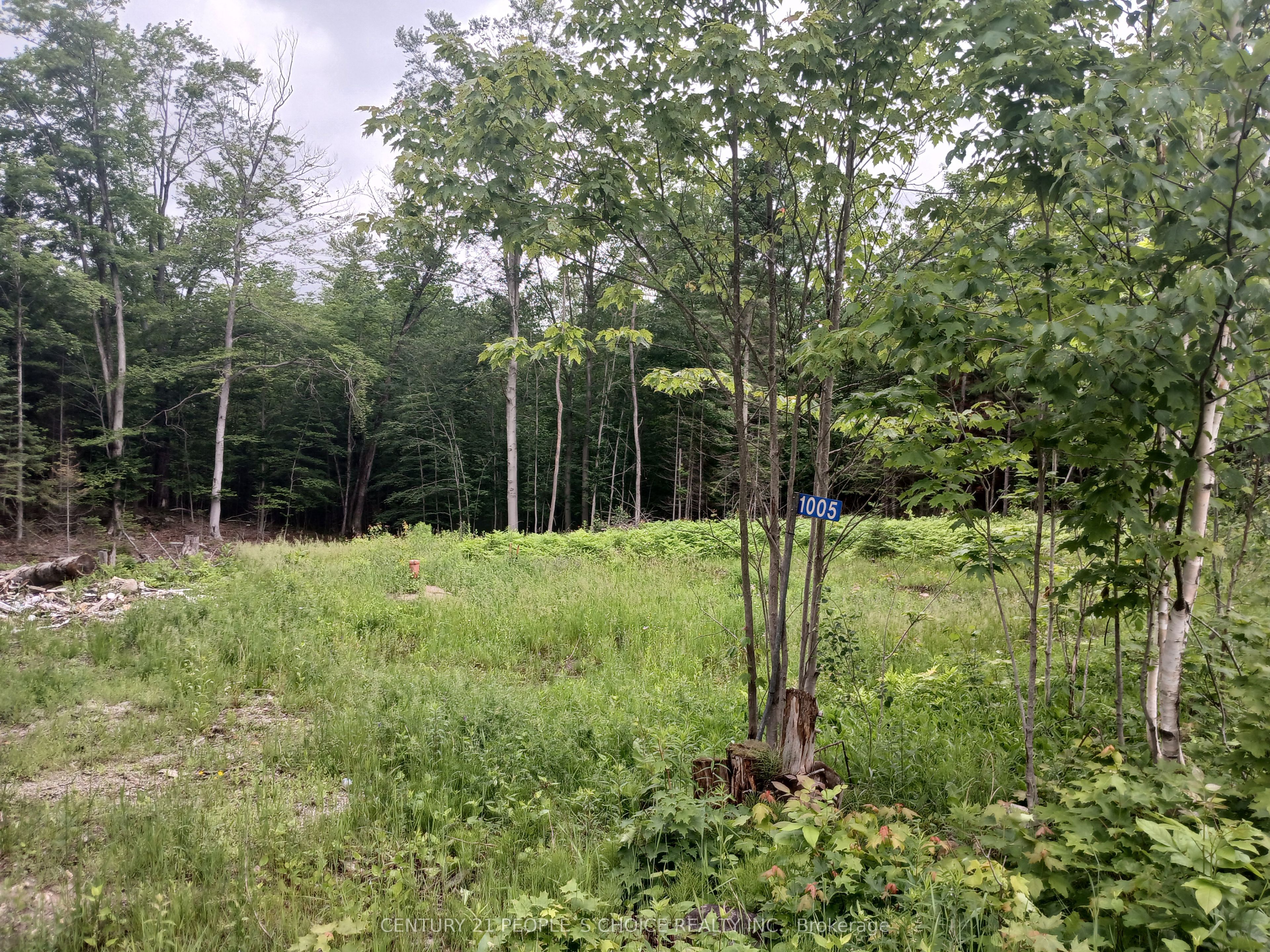 1005 Porkys Road Property Photo 14