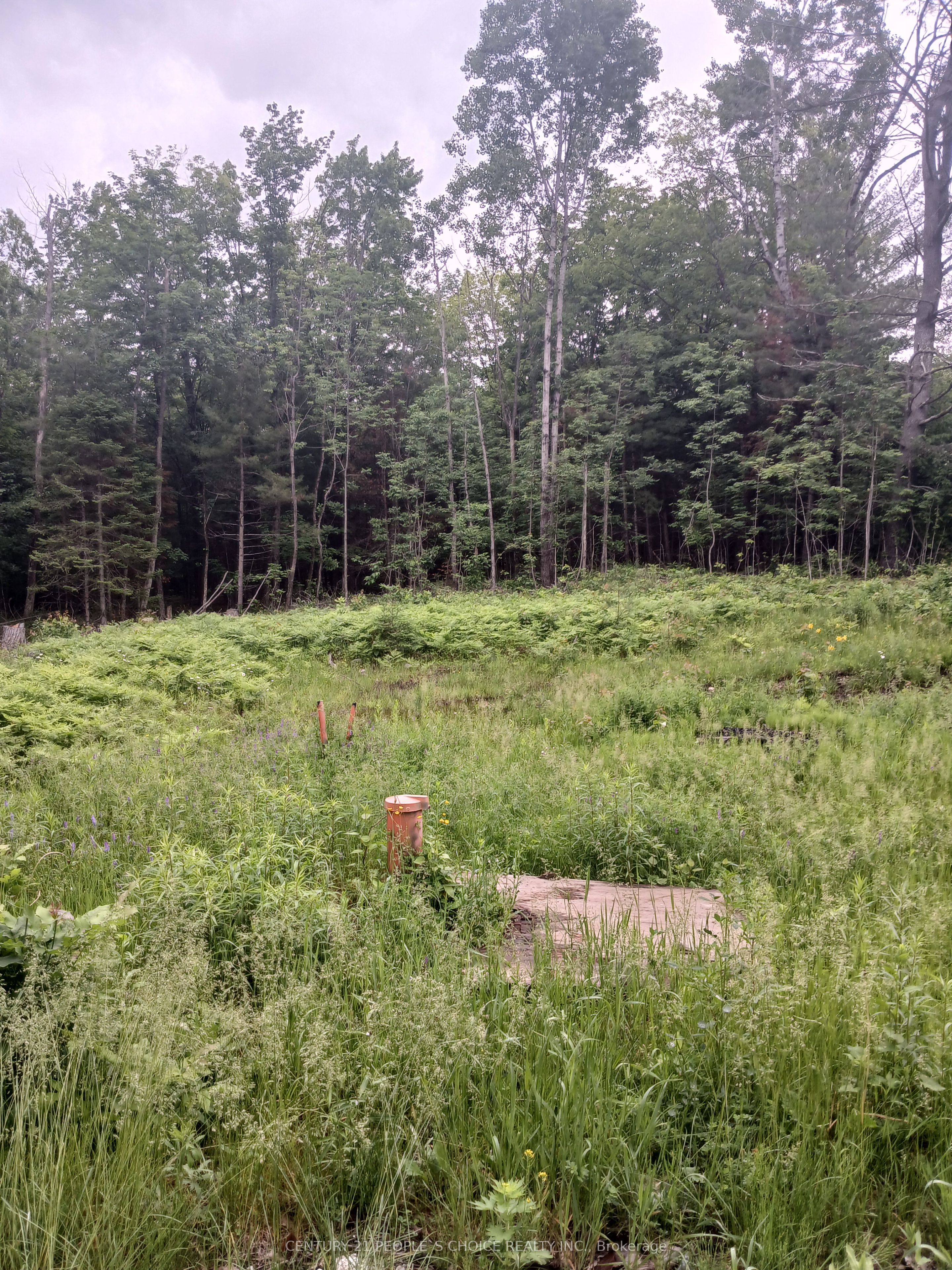 1005 Porkys Road Property Photo 16