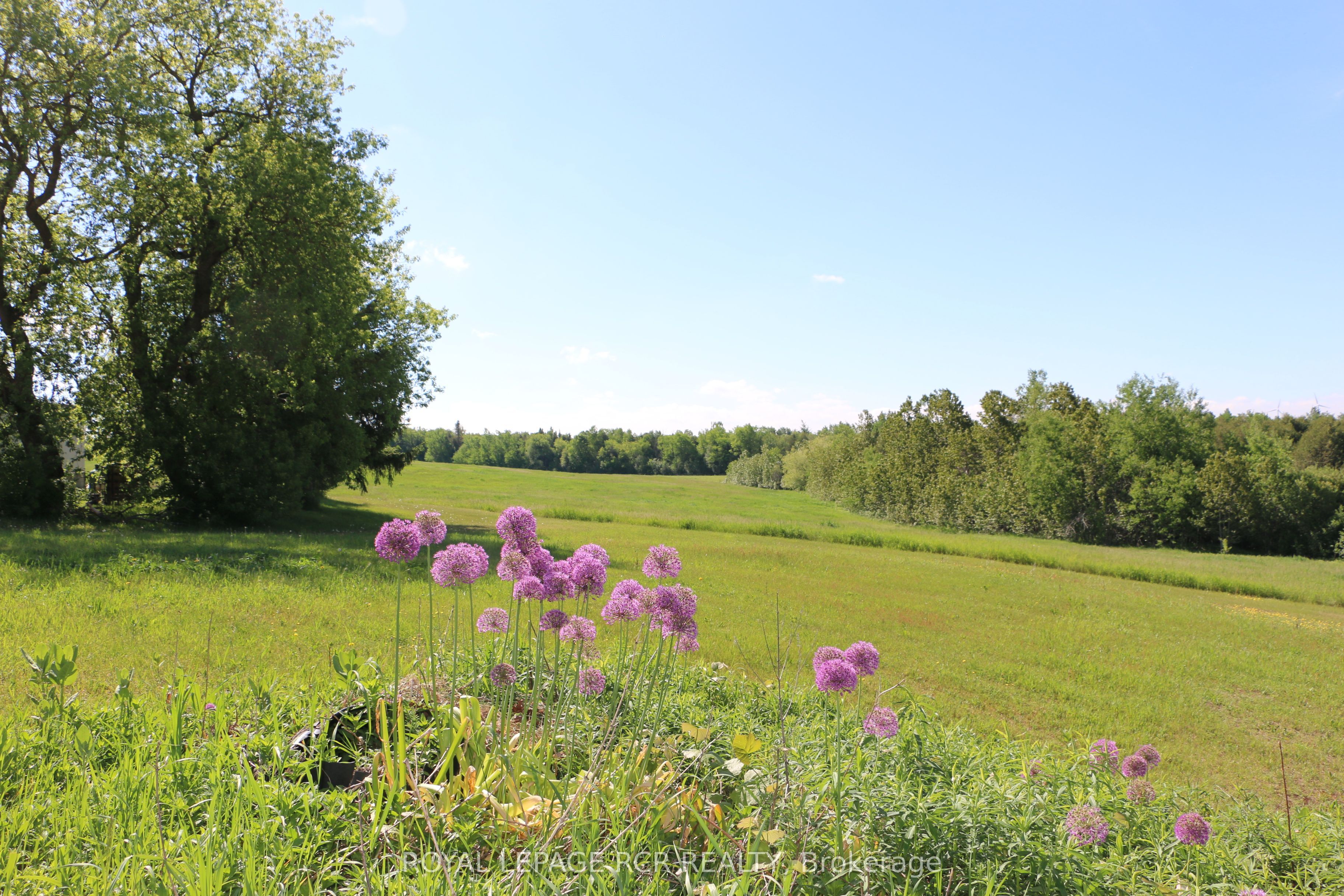 515273 2nd Line Property Photo 3