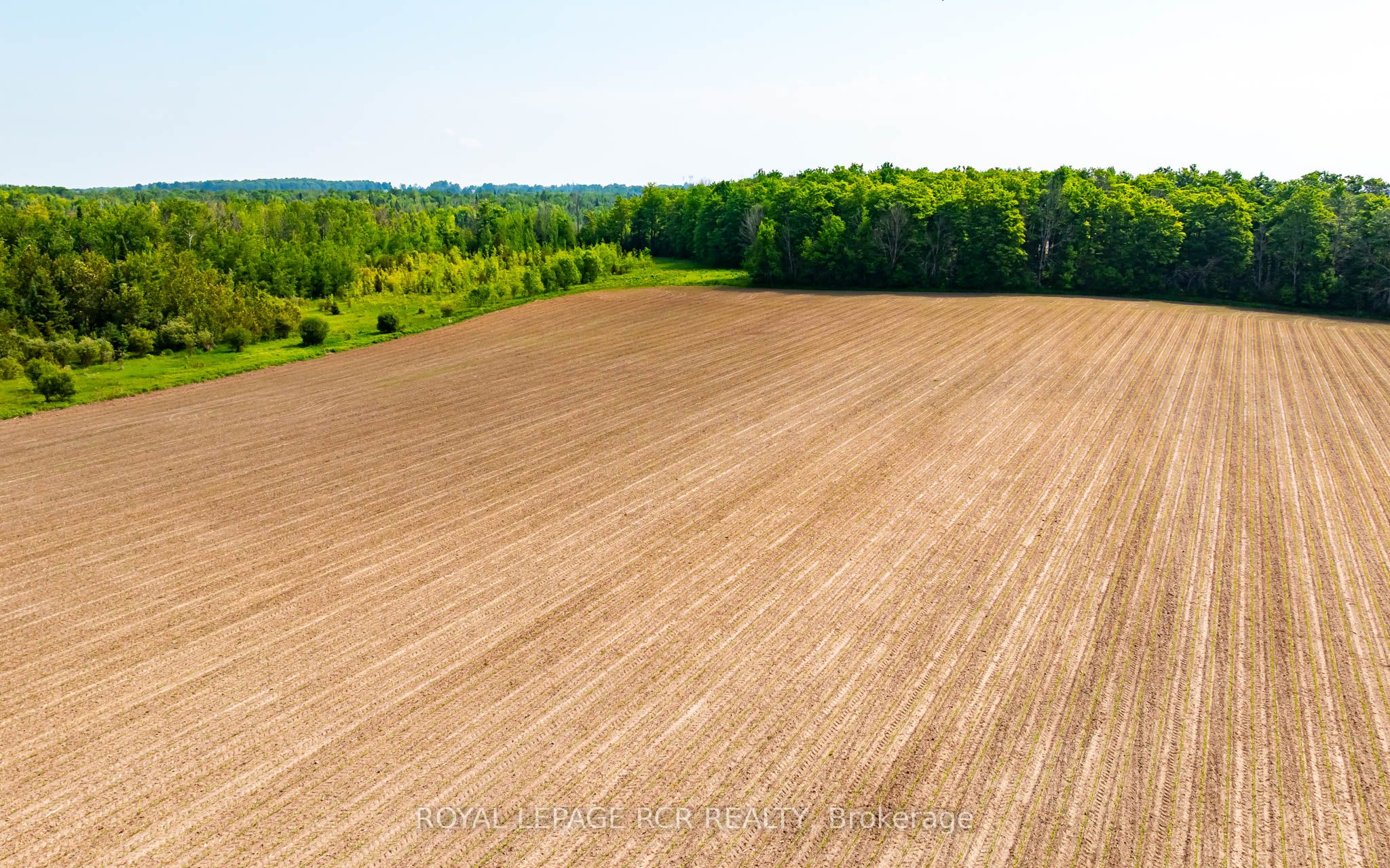 515273 2nd Line Property Photo 9