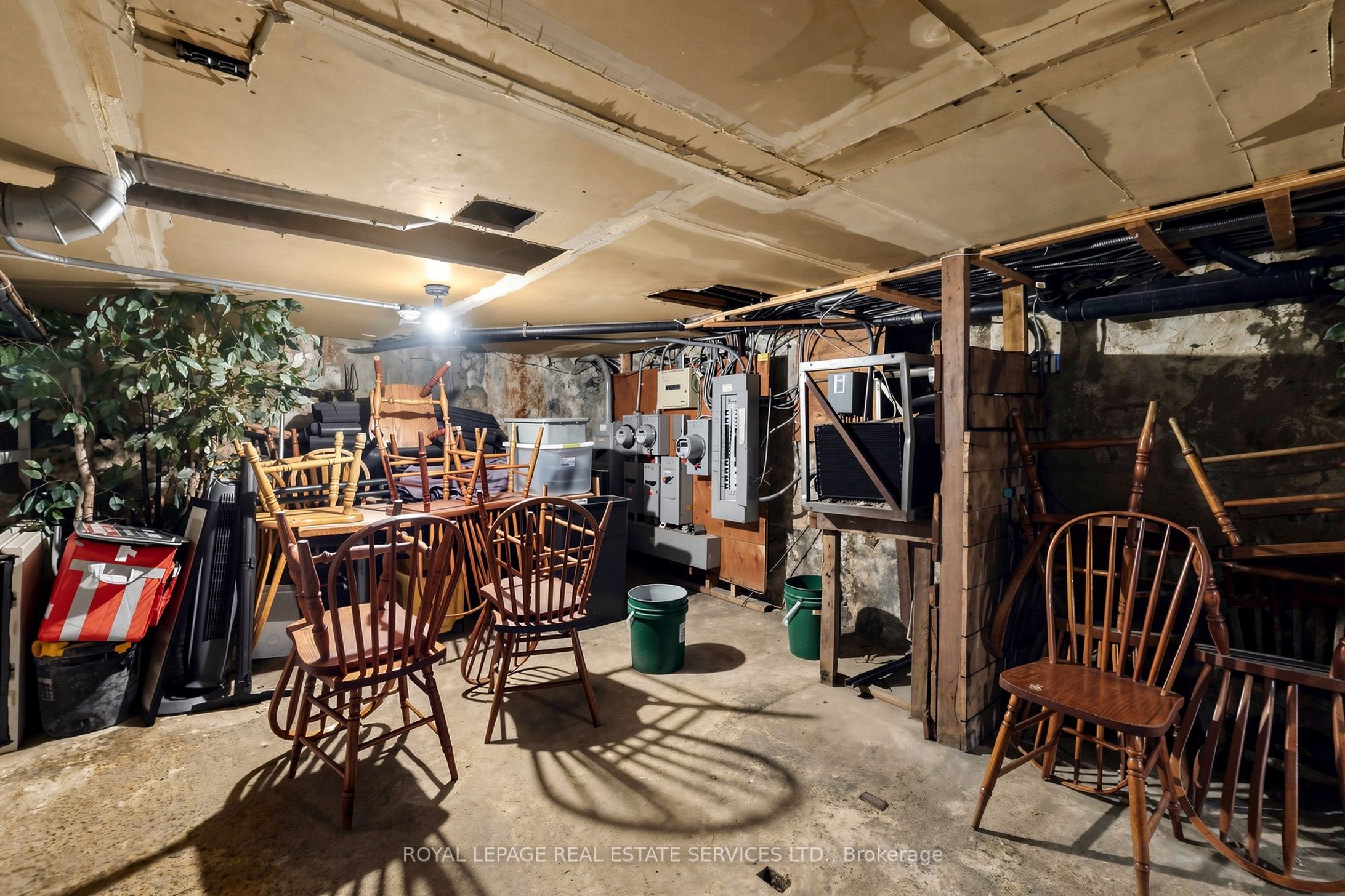 39 Arthur Street Property Photo 40