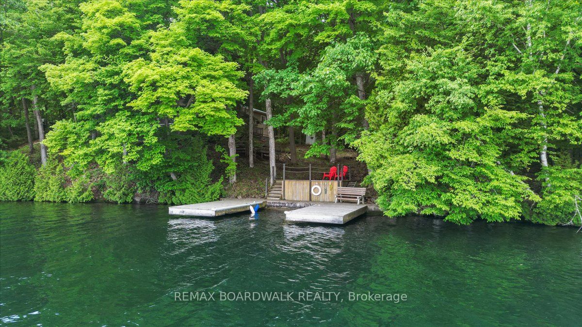6296 Big Island Property Photo 4