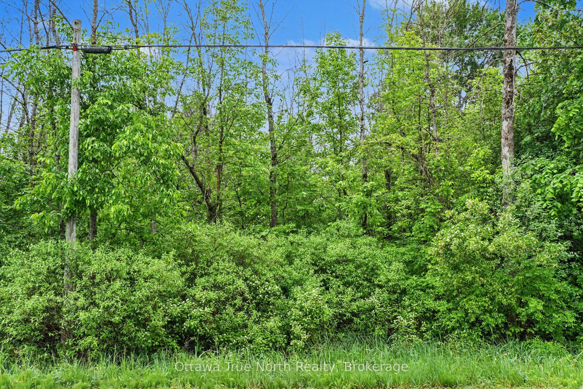 412 Scotch Line Road Property Photo 1
