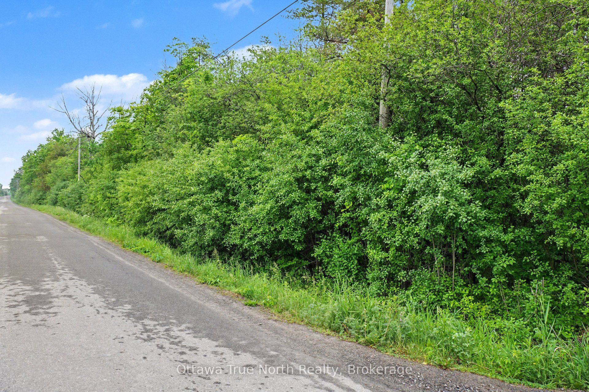 412 Scotch Line Road Property Photo 5