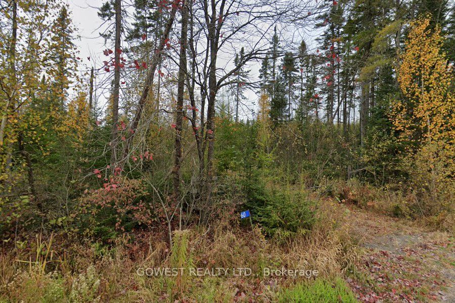 60 Stahls Road Property Photo 1