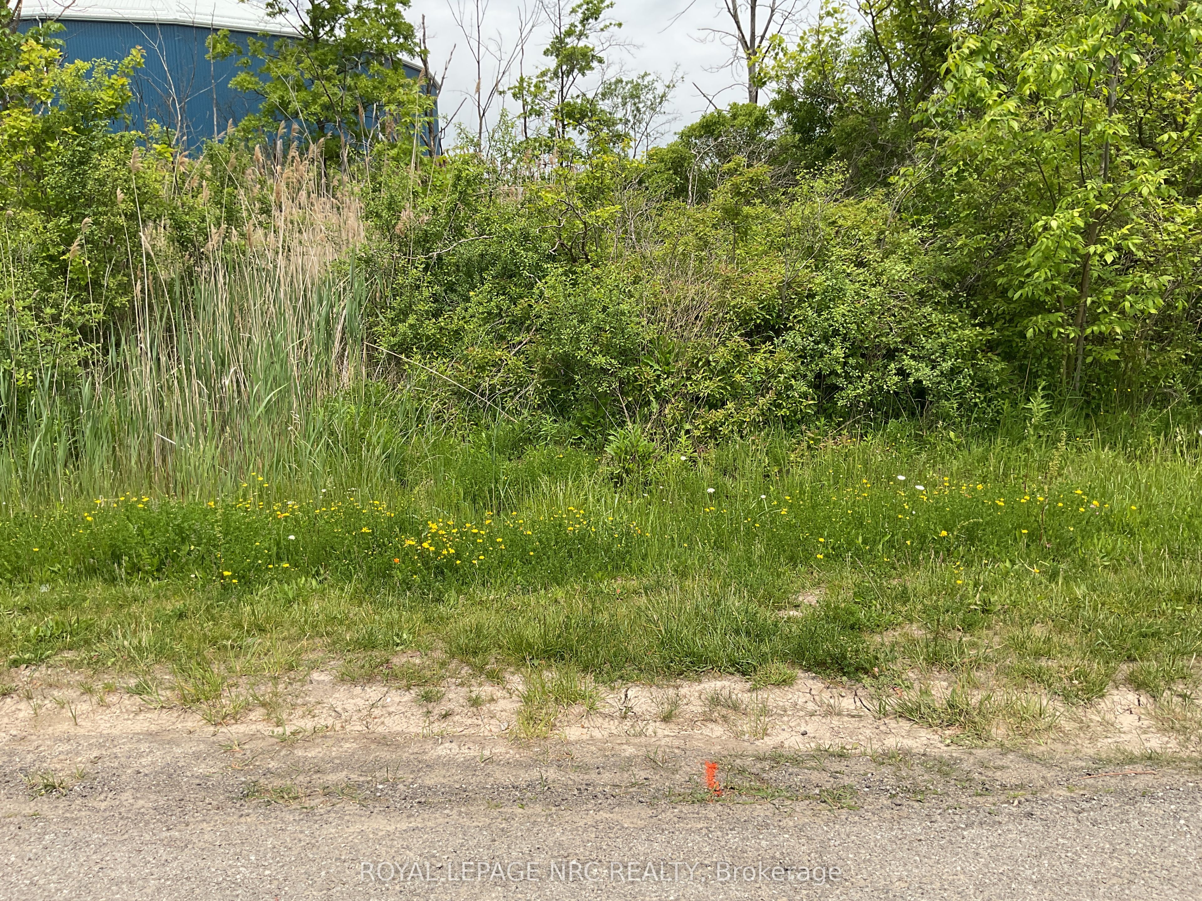 26 Shaw Street Property Photo 5