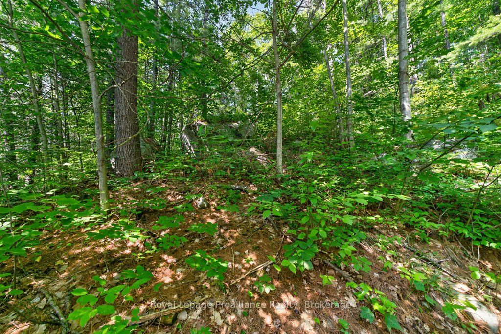 2807 Mackie Lake Property Photo 35