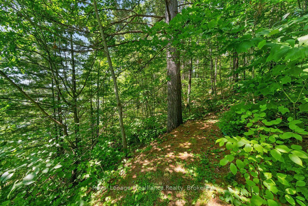 2807 Mackie Lake Property Photo 36