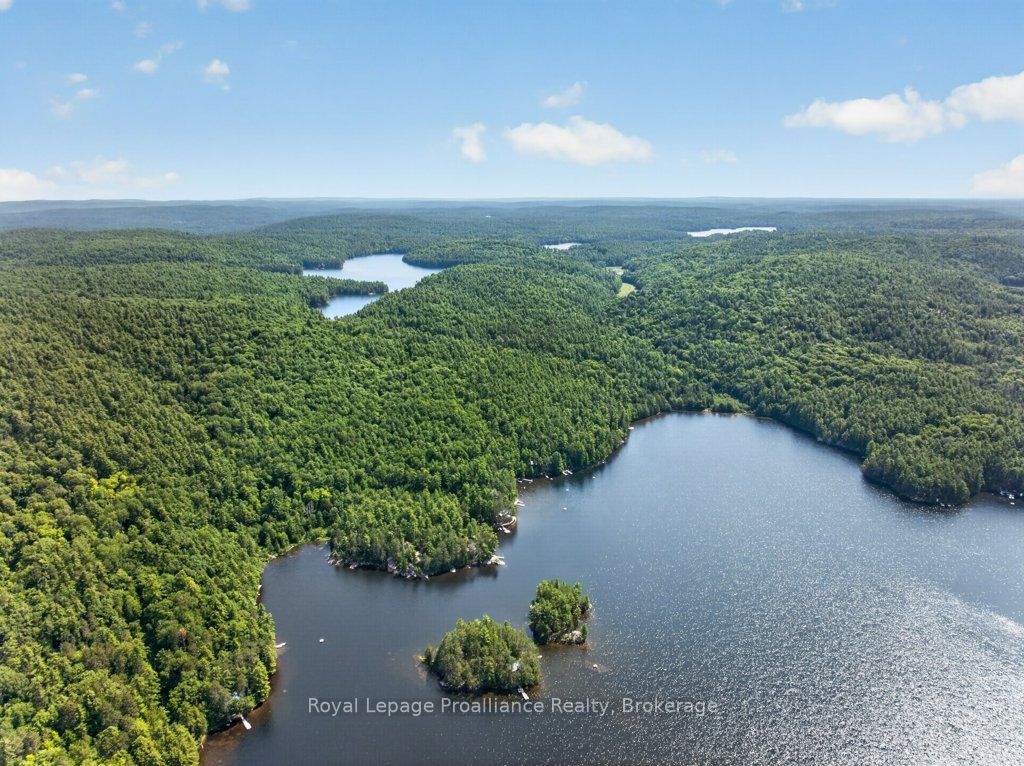 2807 Mackie Lake Property Photo 45