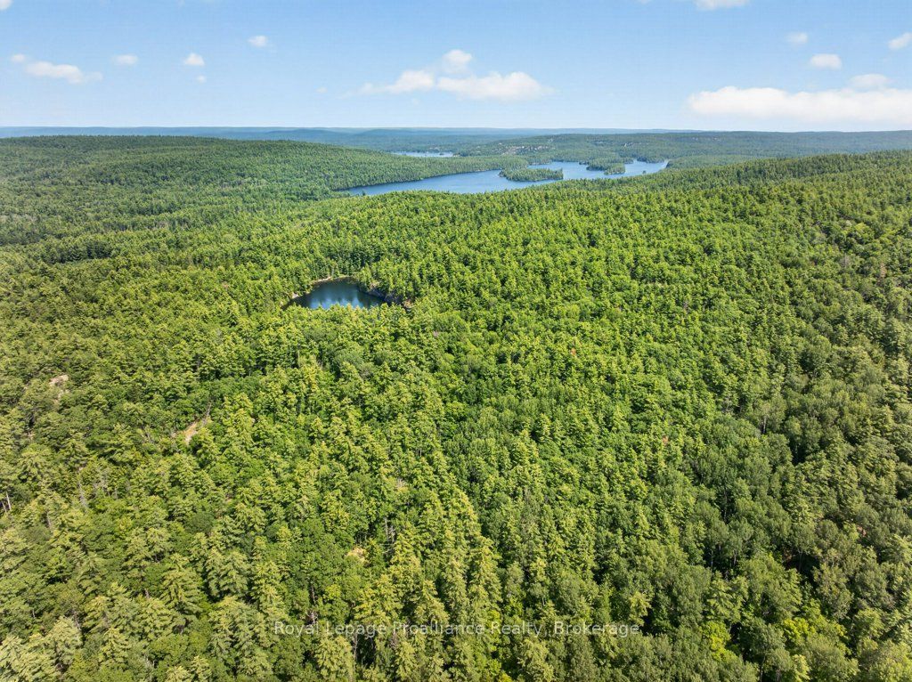2807 Mackie Lake Property Photo 49
