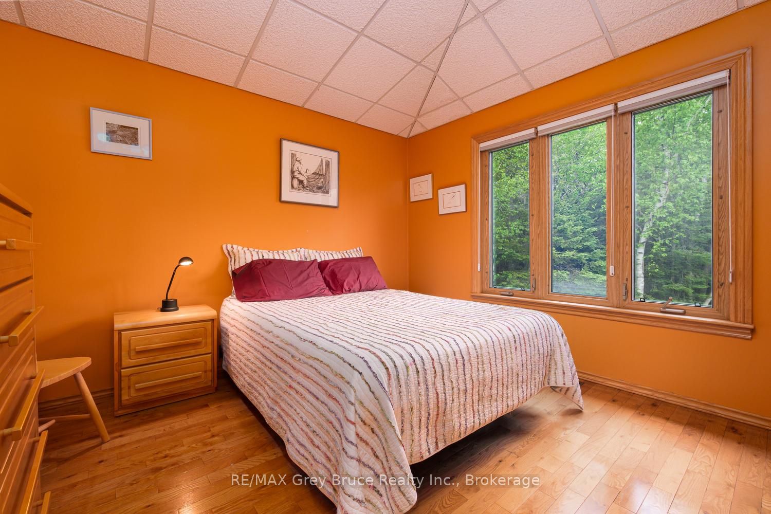 28 Elgin Street Property Photo 26