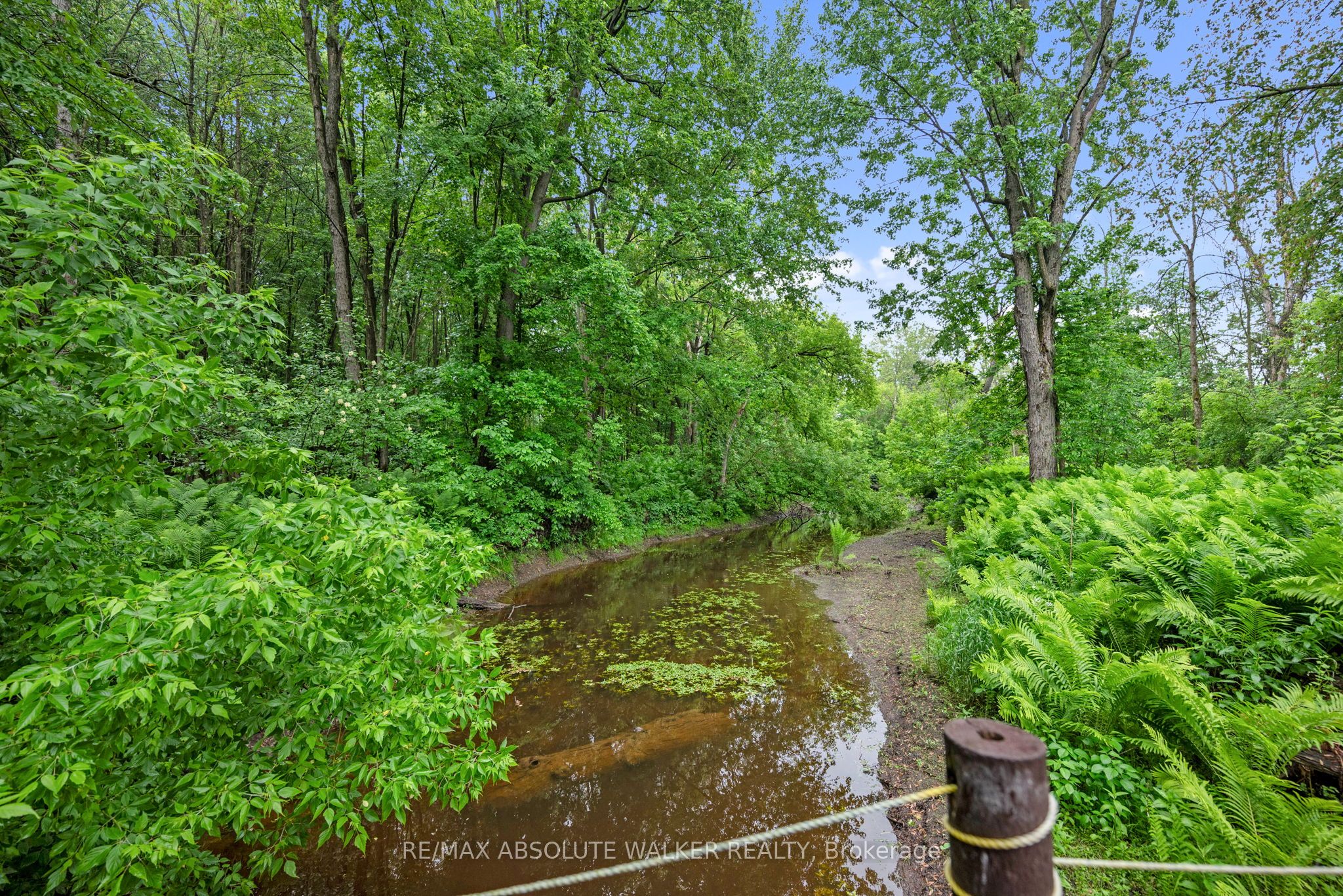 18668 Kenyon Concession 2 Road Property Photo 37