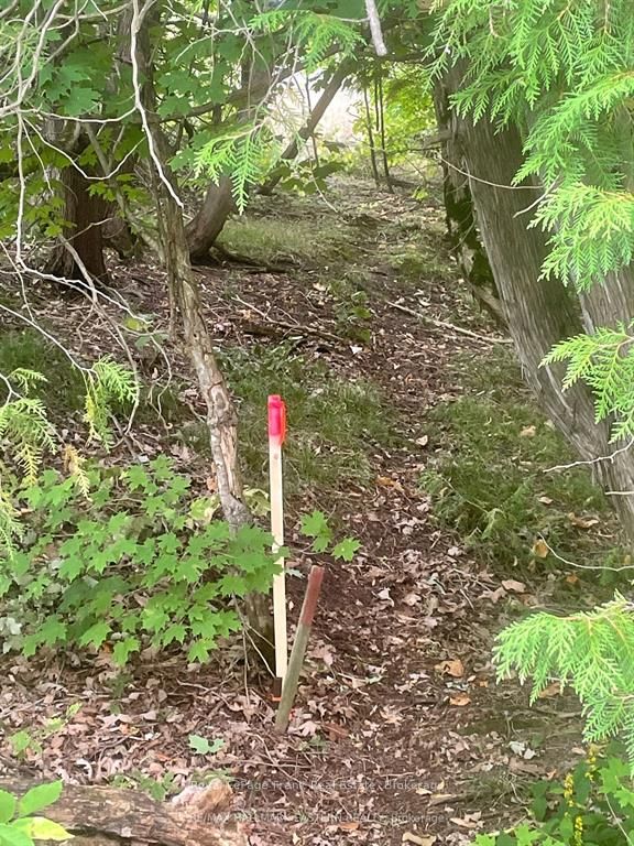 00 Adams-cummings Road Property Photo 2