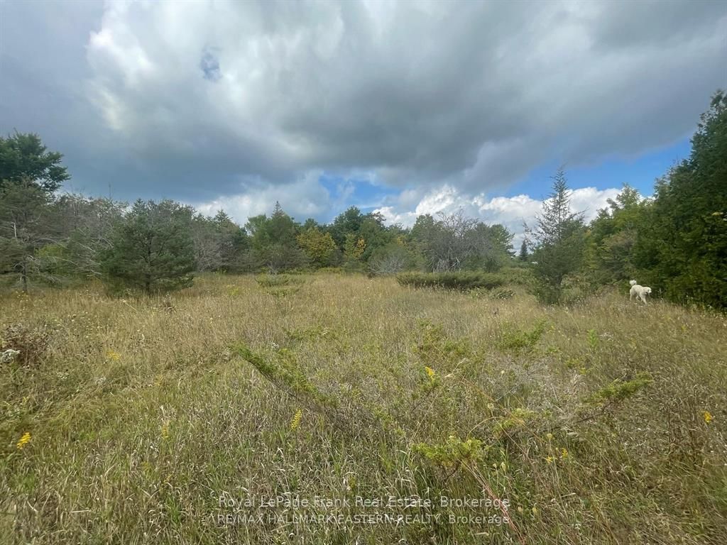 00 Adams-cummings Road Property Photo 4
