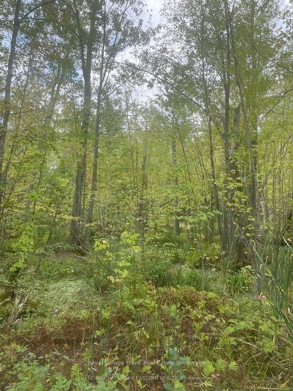 00 Adams-cummings Road Property Photo 8