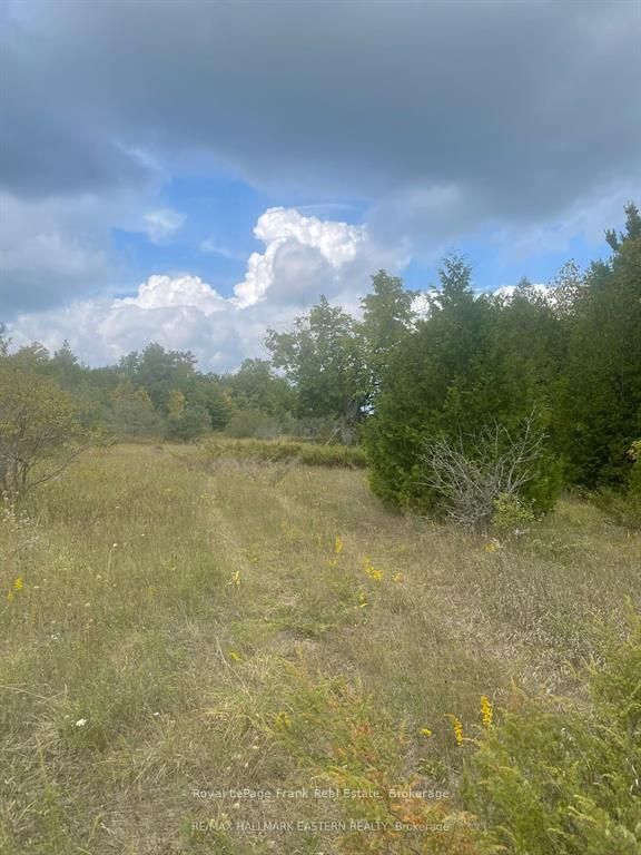 00 Adams-cummings Road Property Photo 9