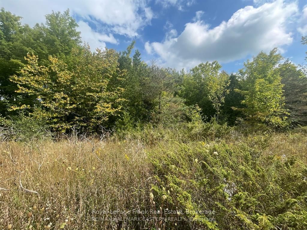00 Adams-cummings Road Property Photo 10