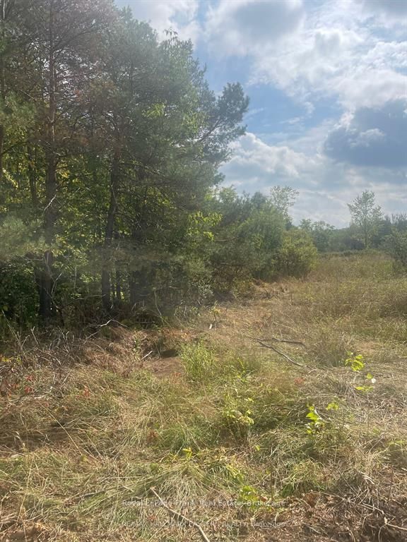 00 Adams-cummings Road Property Photo 13